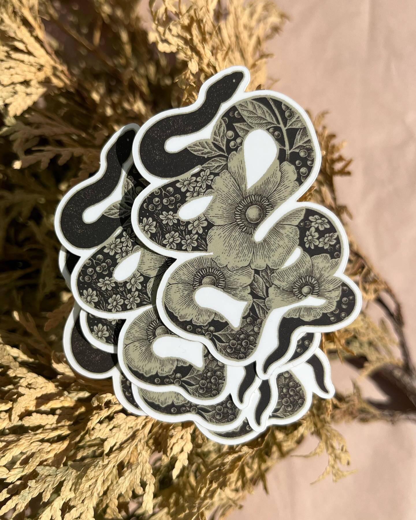 Snake bouquet stickers back in stock in the sh/op ✶ a mix of soft and hard, comfort and fear, symbols for our internal landscape ✶

#botanicalillustration #stickercollection #snakedrawing #blackwork #dotwork