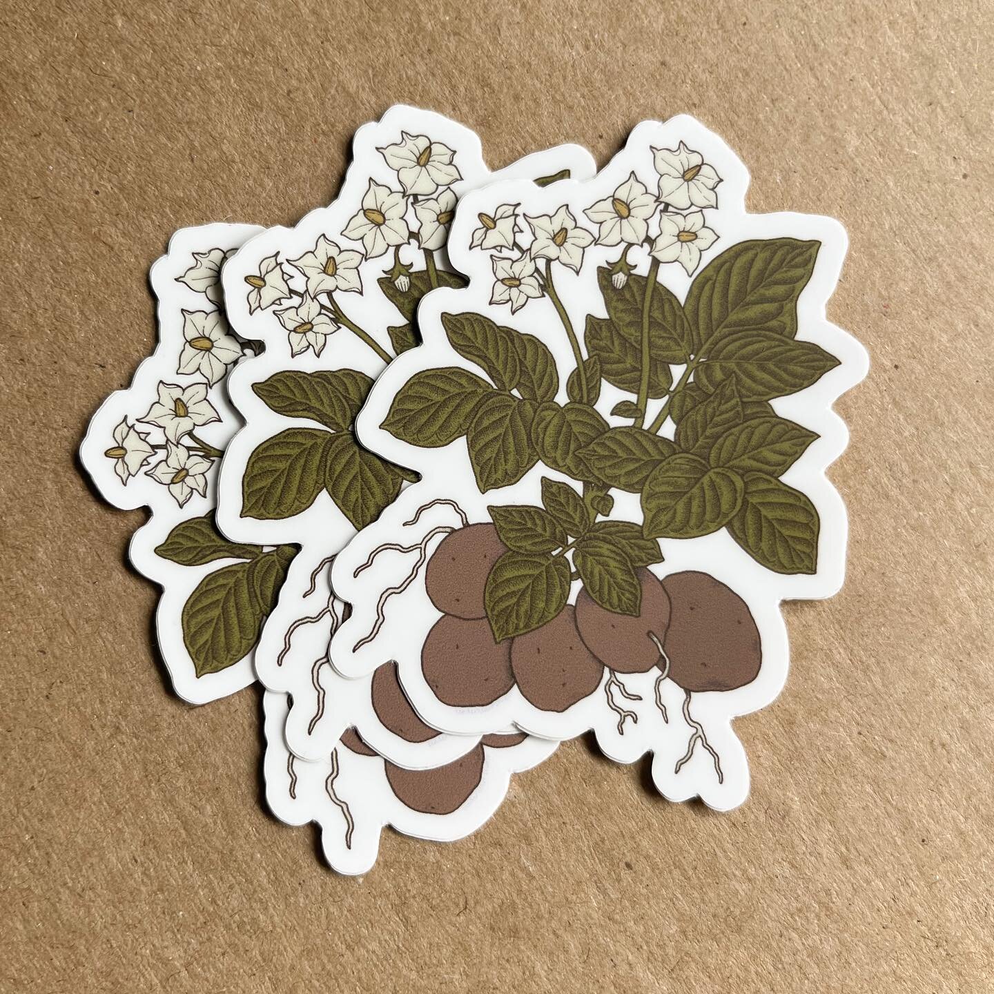 🚨Potato stickers and prints are here! 
Your favorite tuber, a symbol of class solidarity, and proof of magic in the mundane.

Are you unconvinced that potatoes deserve this kind of respect? Pick up a copy of the second Magic in the Mundane zine to r