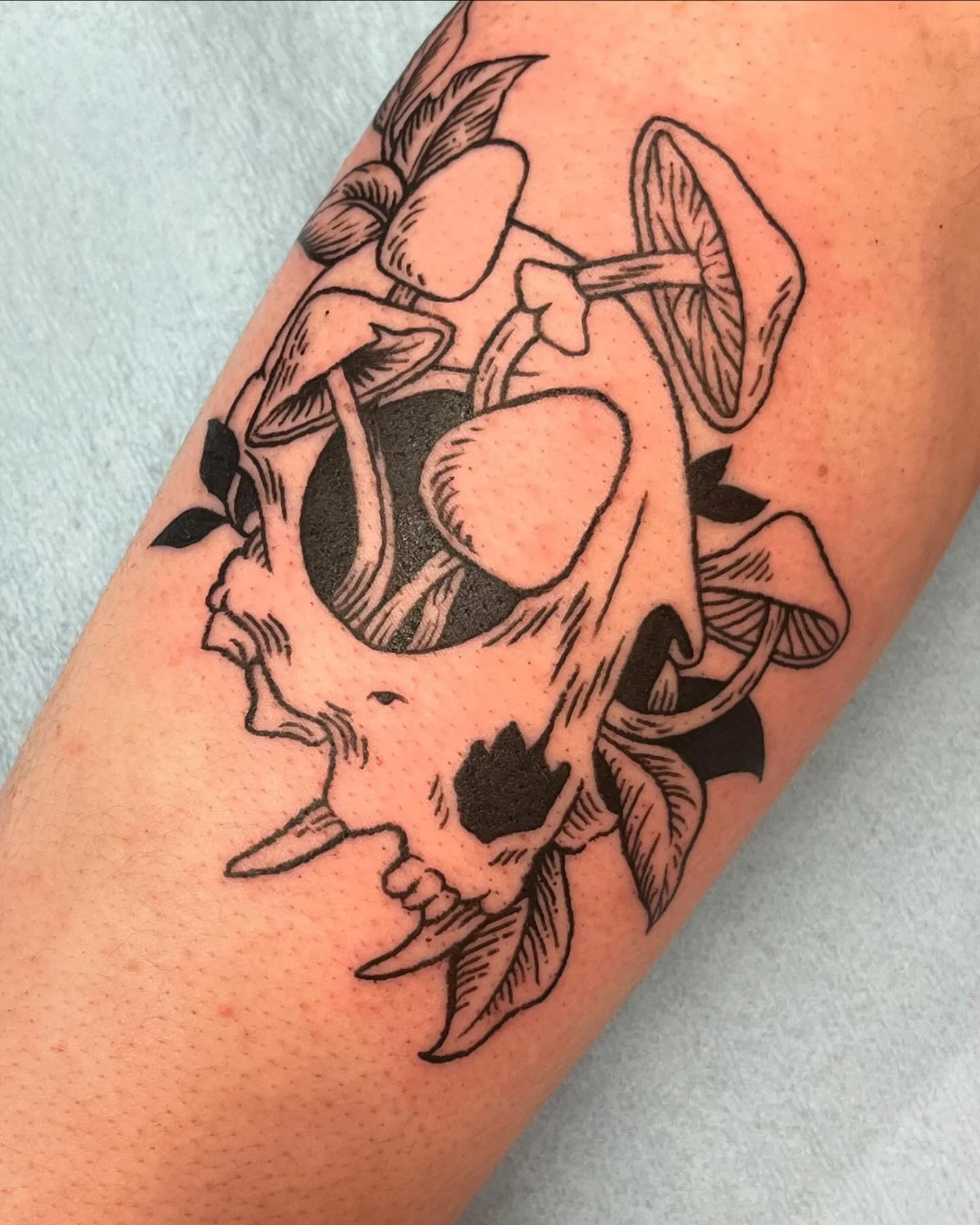 So happy to do this cat skull and mushroom design today. Thank you!!

Made at Jackalope Tattoo &hearts;

#blackwork #blackworktattoo #woodcuttattoo #skulltattoo #etchingtattoo #blxckink #onlyblackart #mushroomtattoo #guestspottattoo #minneapolistatto