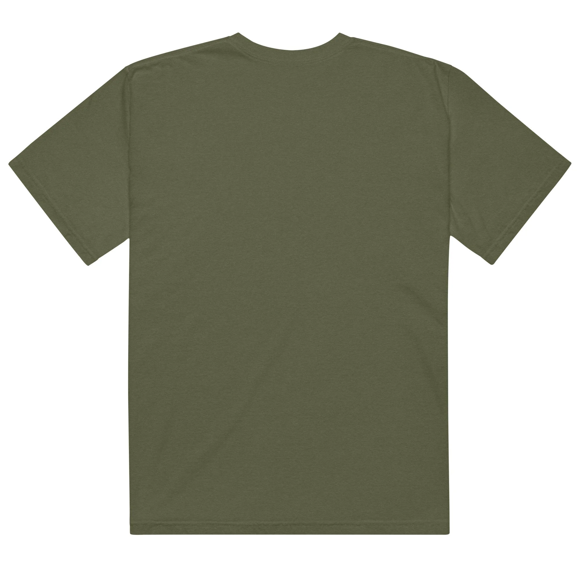 unisex-garment-dyed-heavyweight-t-shirt-hemp-back-6a58f99b4d805.jpg