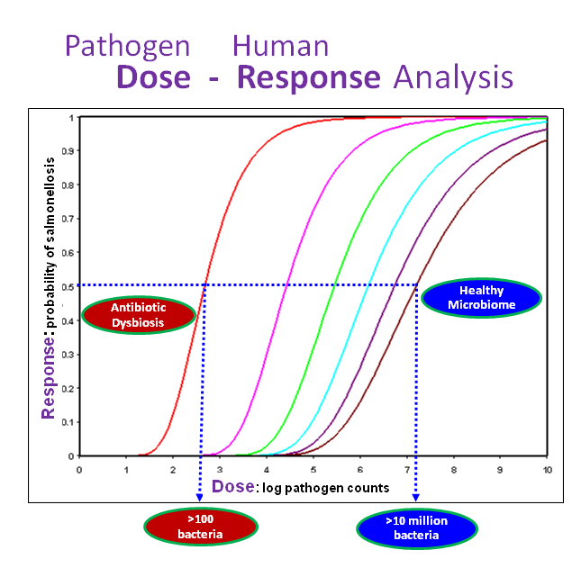 Pathogen dose influences human response. Half of human volunteers with healthy microbiota (blue oval) did not get salmonellosis until ingesting ten million pathogens, while humans with antibiotic disruption (red oval) are likely to get ill ingesting only 100 pathogens. From Coleman et al., 2017b. 