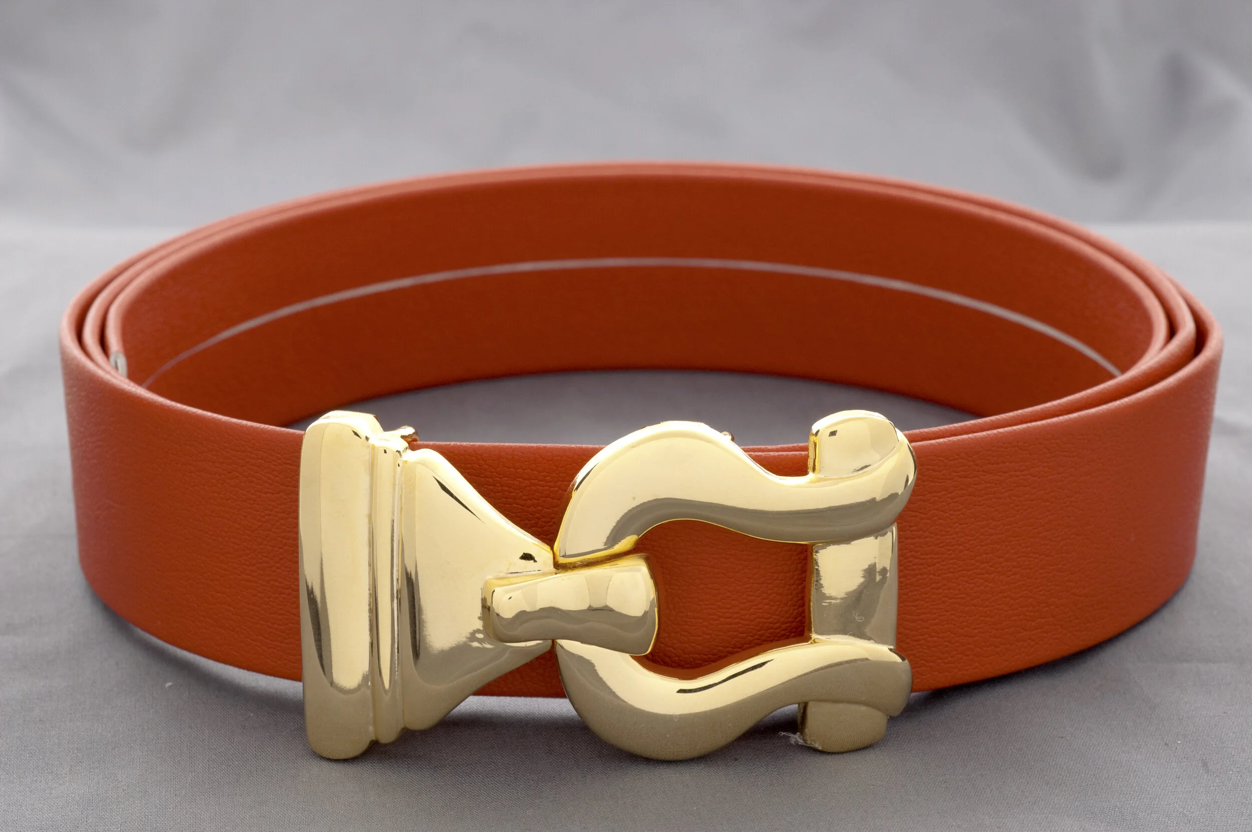 Loop & Lock/ Gold Interchangeable Buckle