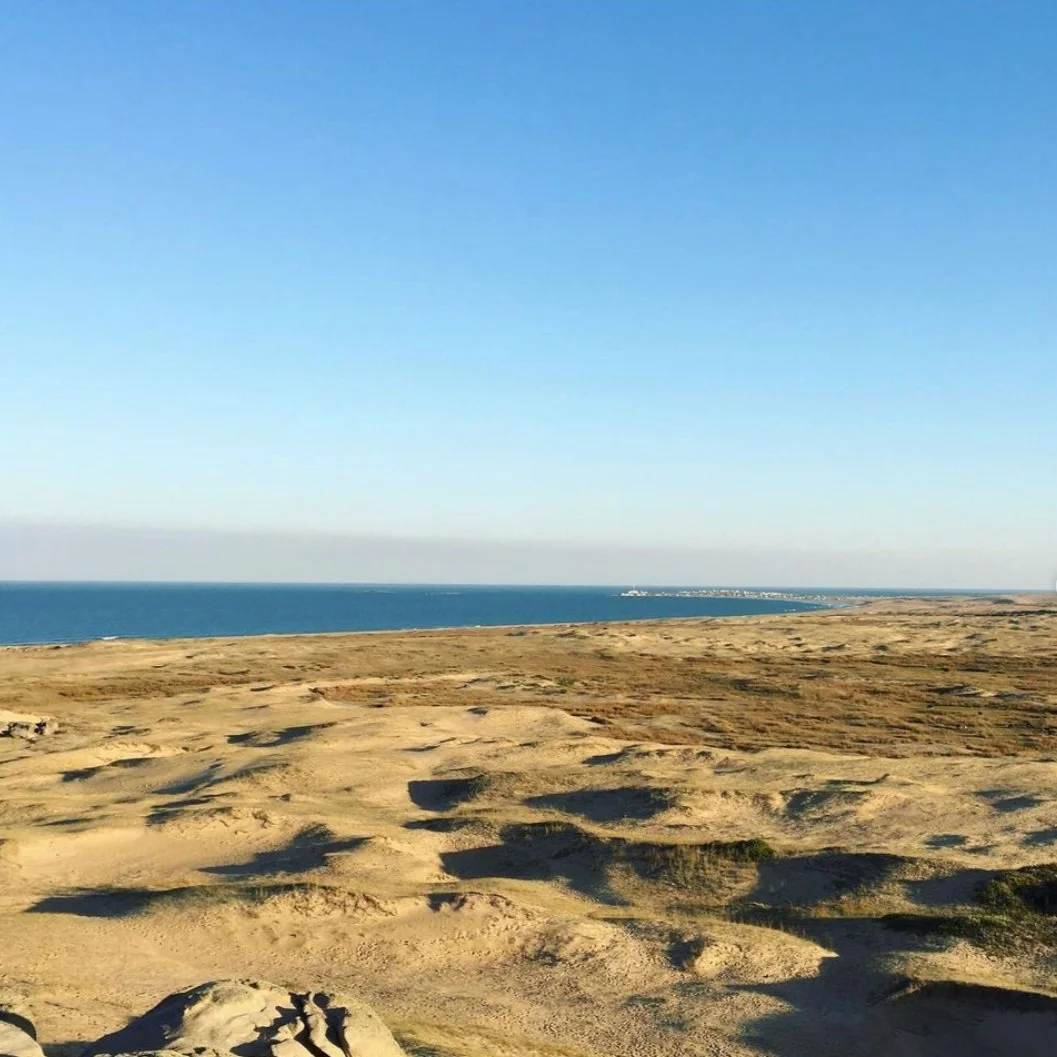 The WHY Landscape Workshop: A Walking Practice