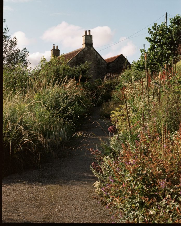 An interview with garden designer Dan Pearson