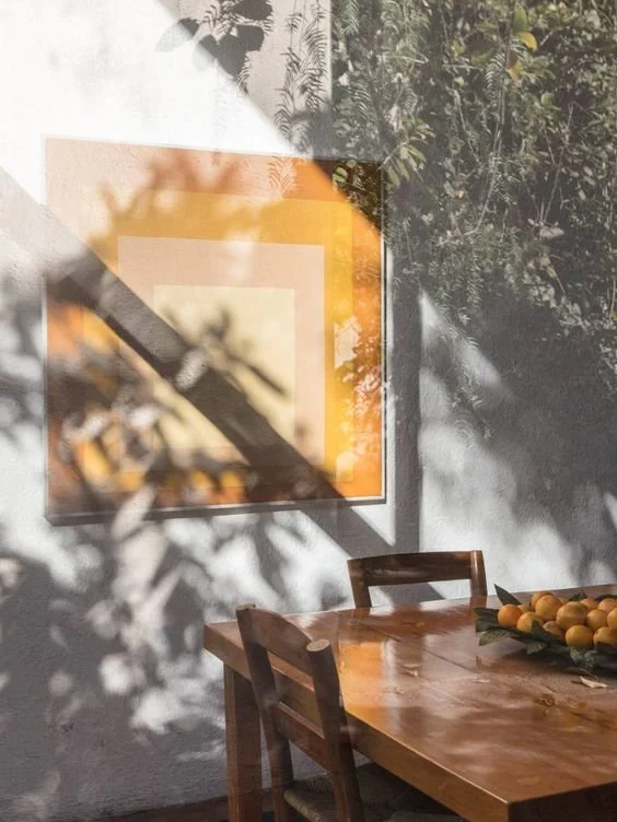 Casa Luis Barragán: the architecture of solitude