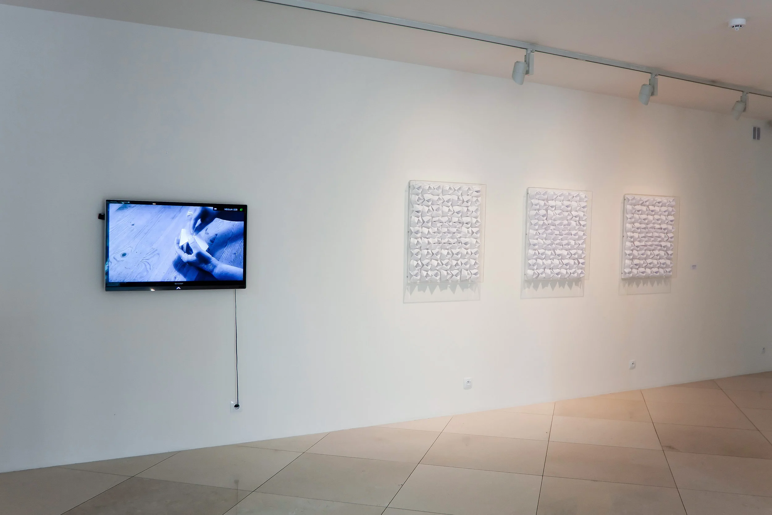 Foustková_Galerie_Zavodny4.jpg