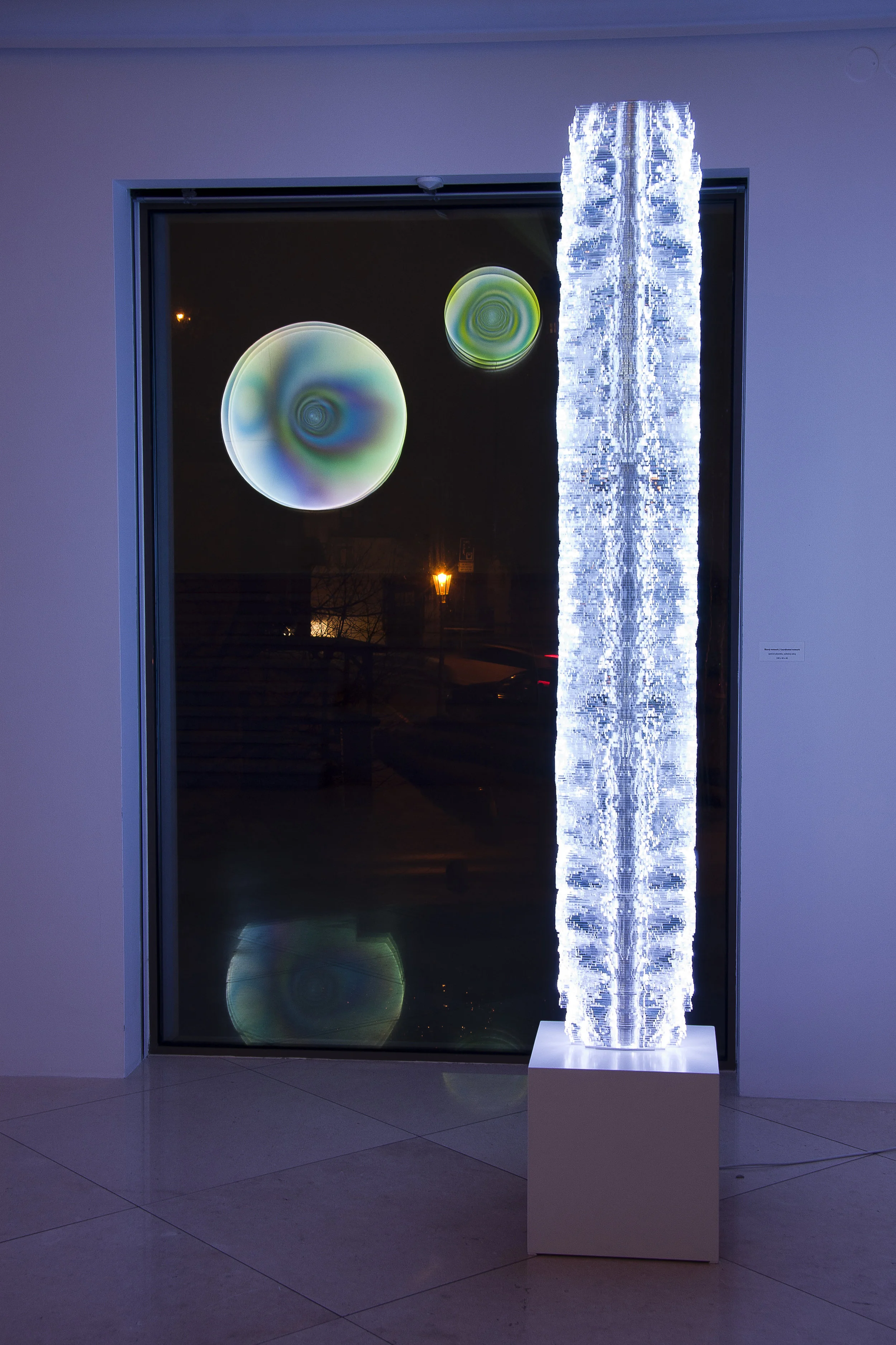 Haas_Galerie_Zavodny1.jpg