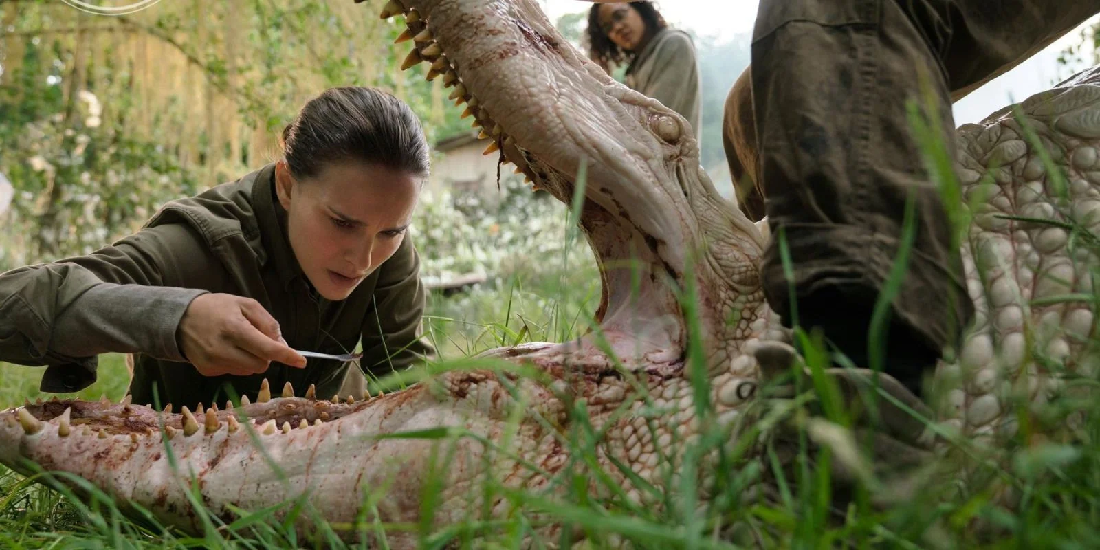 landscape-1506512404-annihilation-ew.jpg