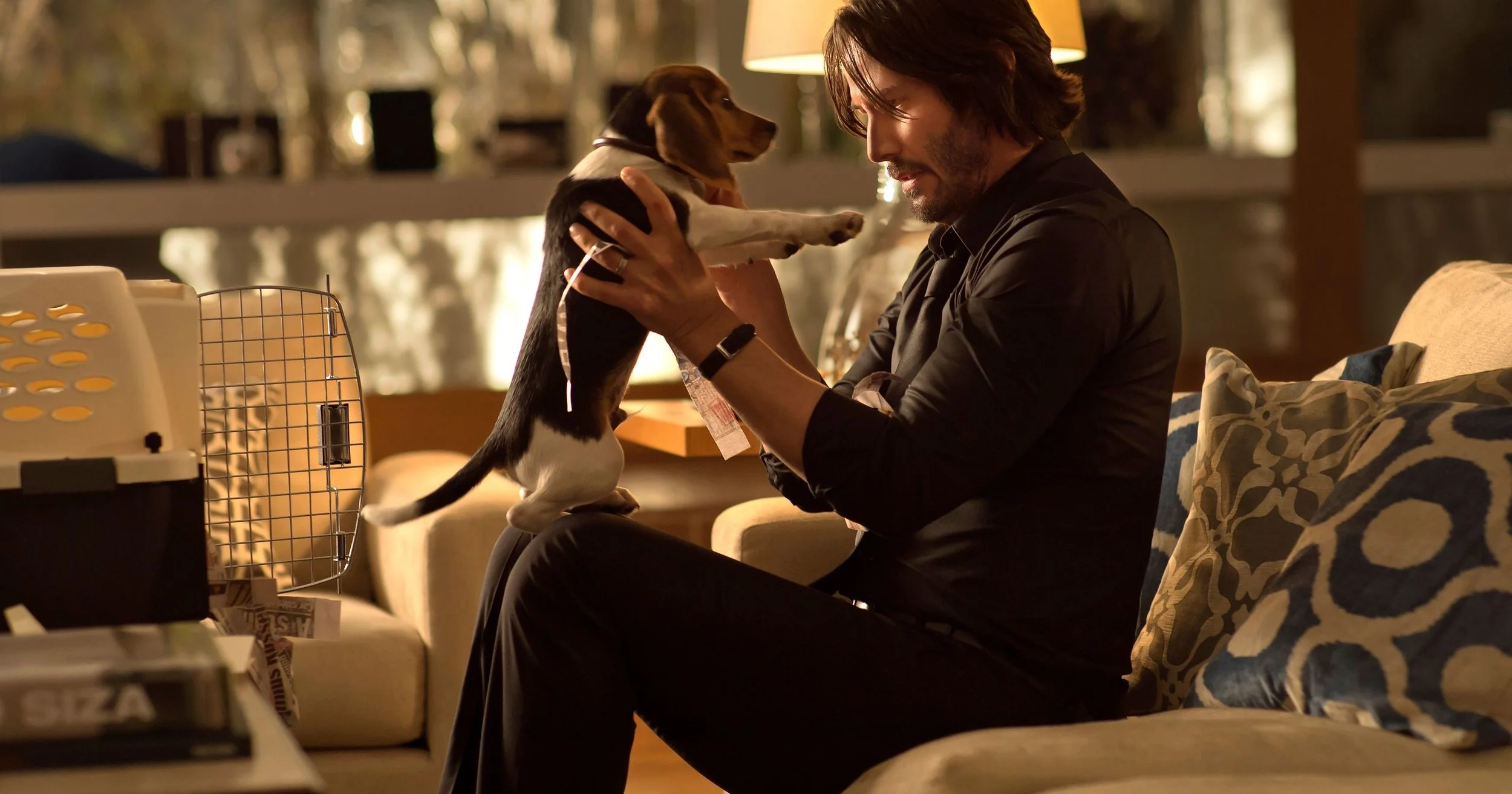 635494961822000008-BEAGLE-JOHN-WICK-MOV-JY-3400--68084492.jpeg