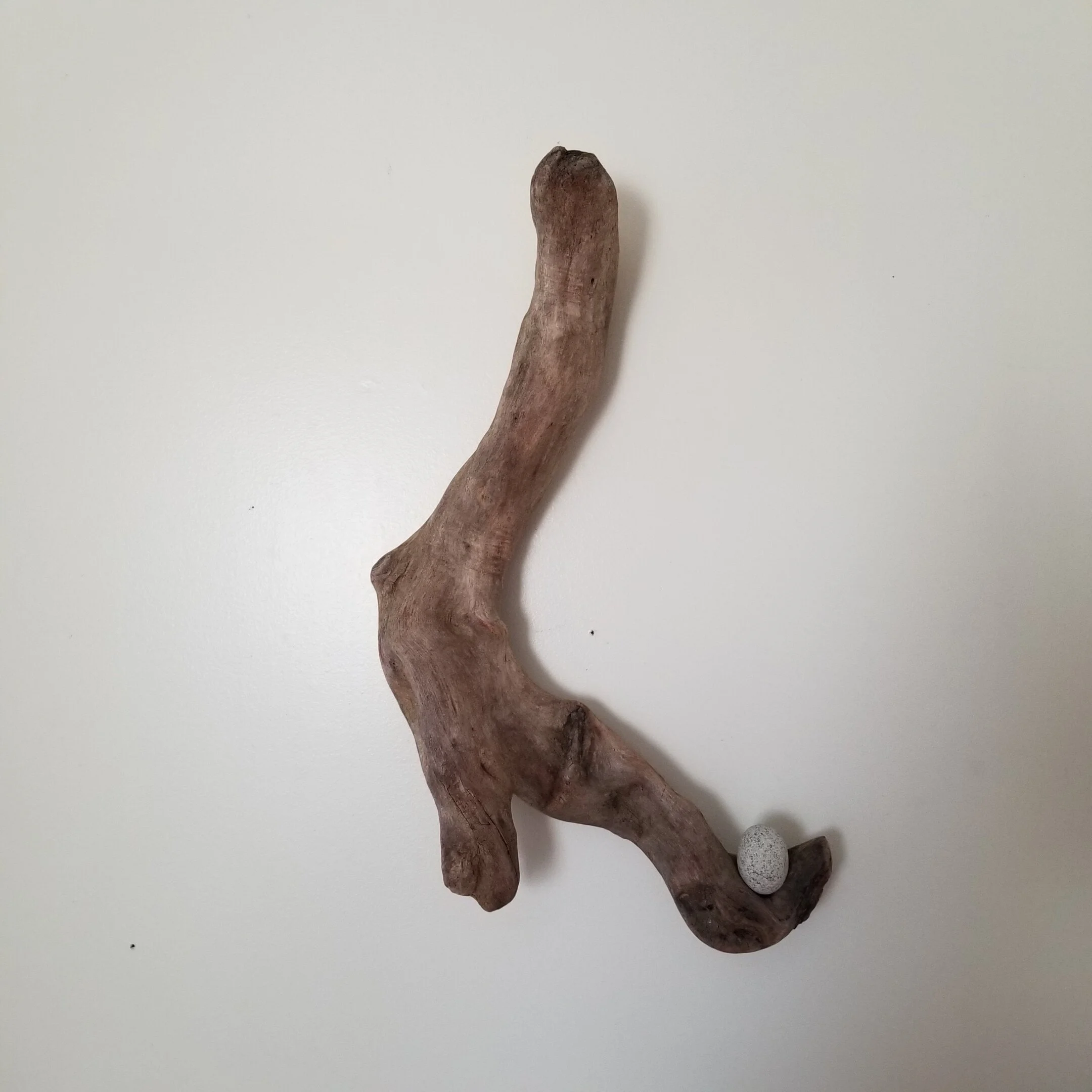 driftwood wall accent