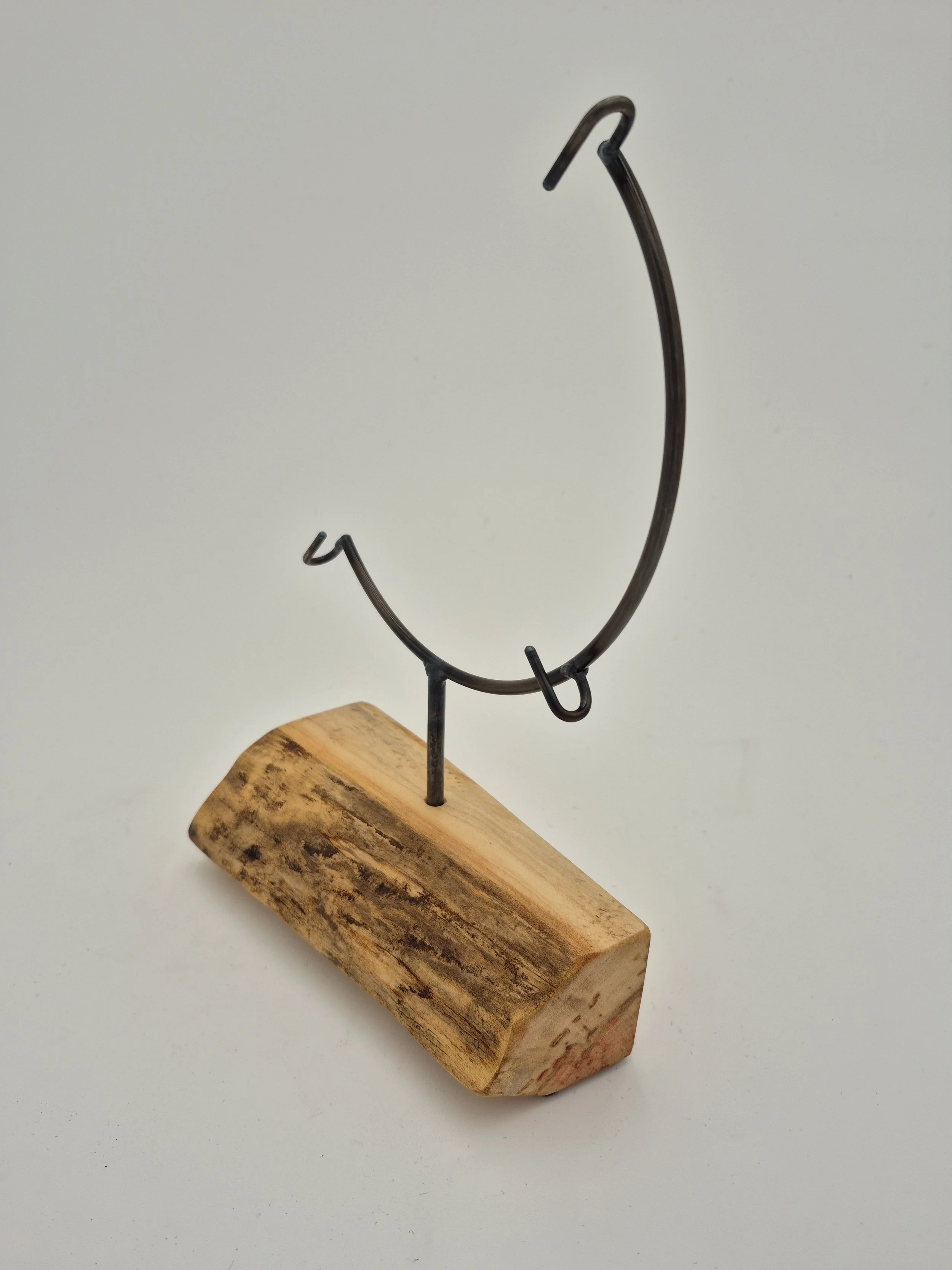 20260210_103755 (1).jpg