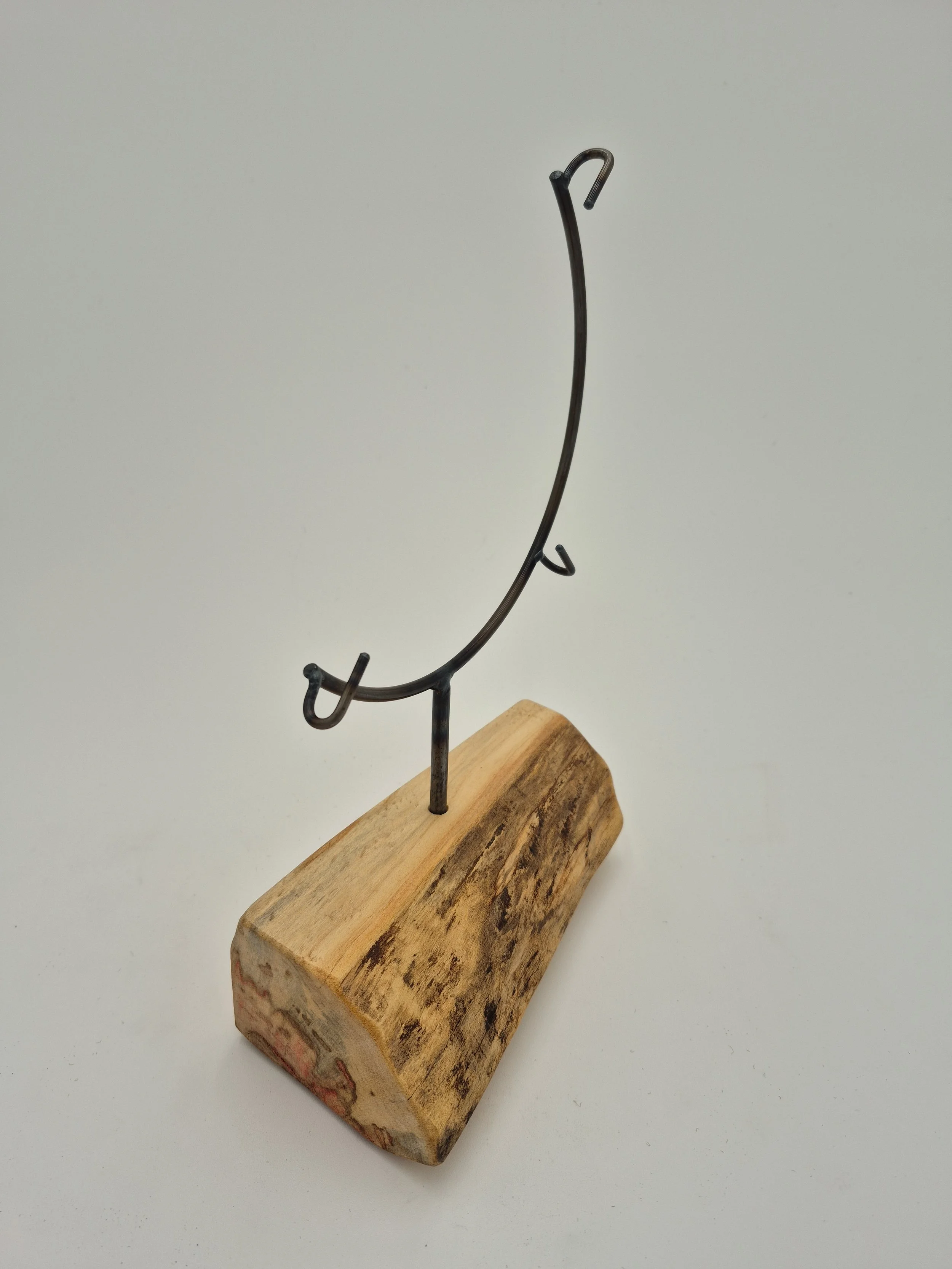 20260210_103745 (1).jpg