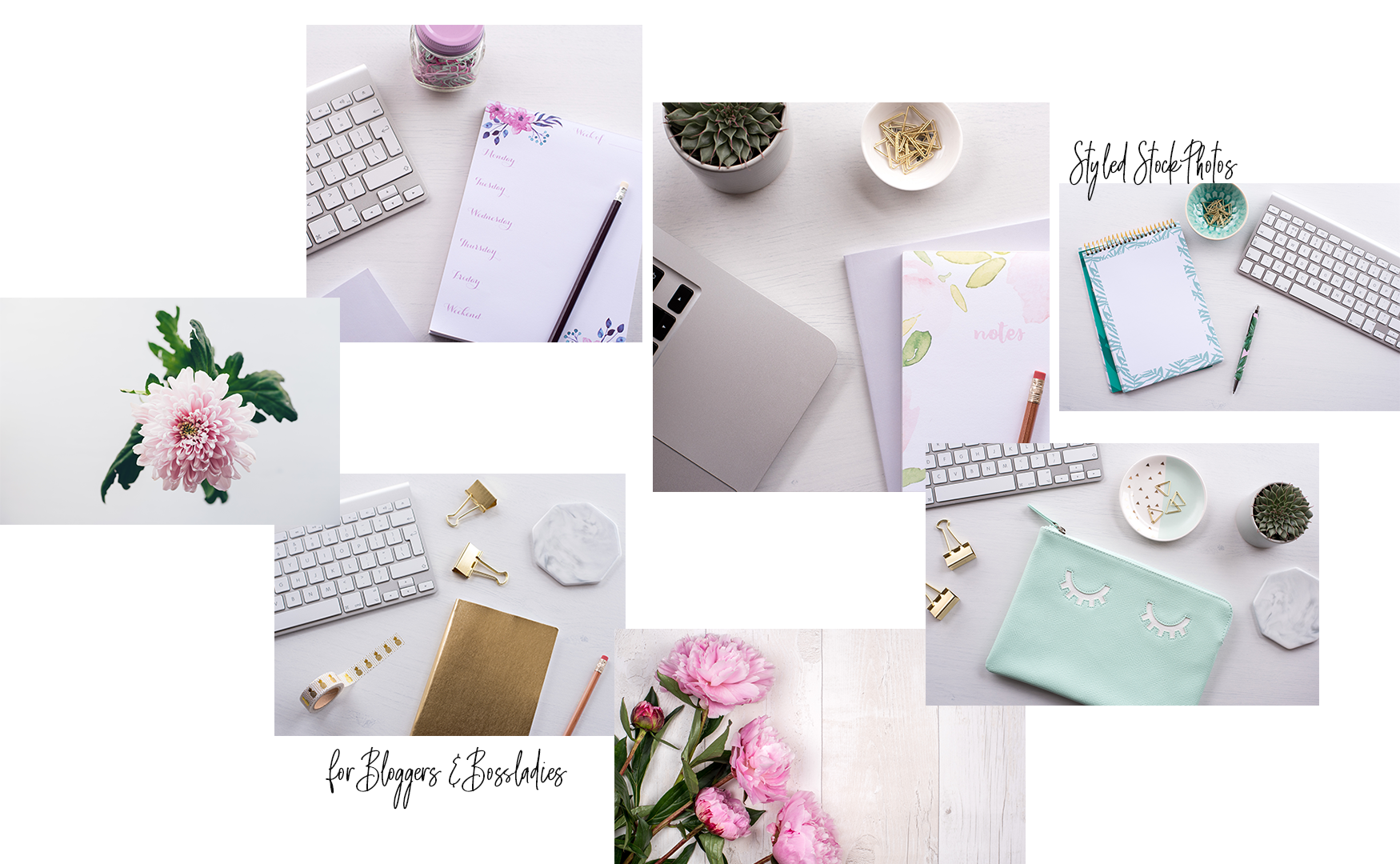 Sophie-Carefull-Photography-Stock-Boutique.png