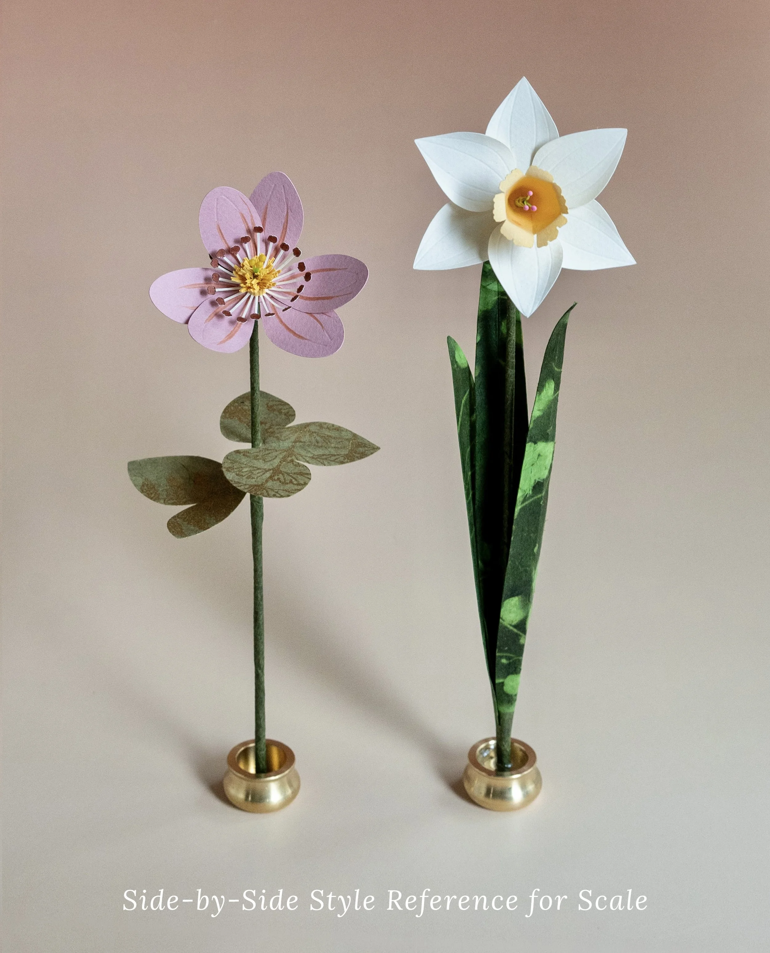 StyleSizeComparison.jpg (Copy) (Copy) (Copy) (Copy) (Copy) (Copy) (Copy) (Copy) (Copy) (Copy) (Copy) (Copy) (Copy) (Copy) (Copy) (Copy)