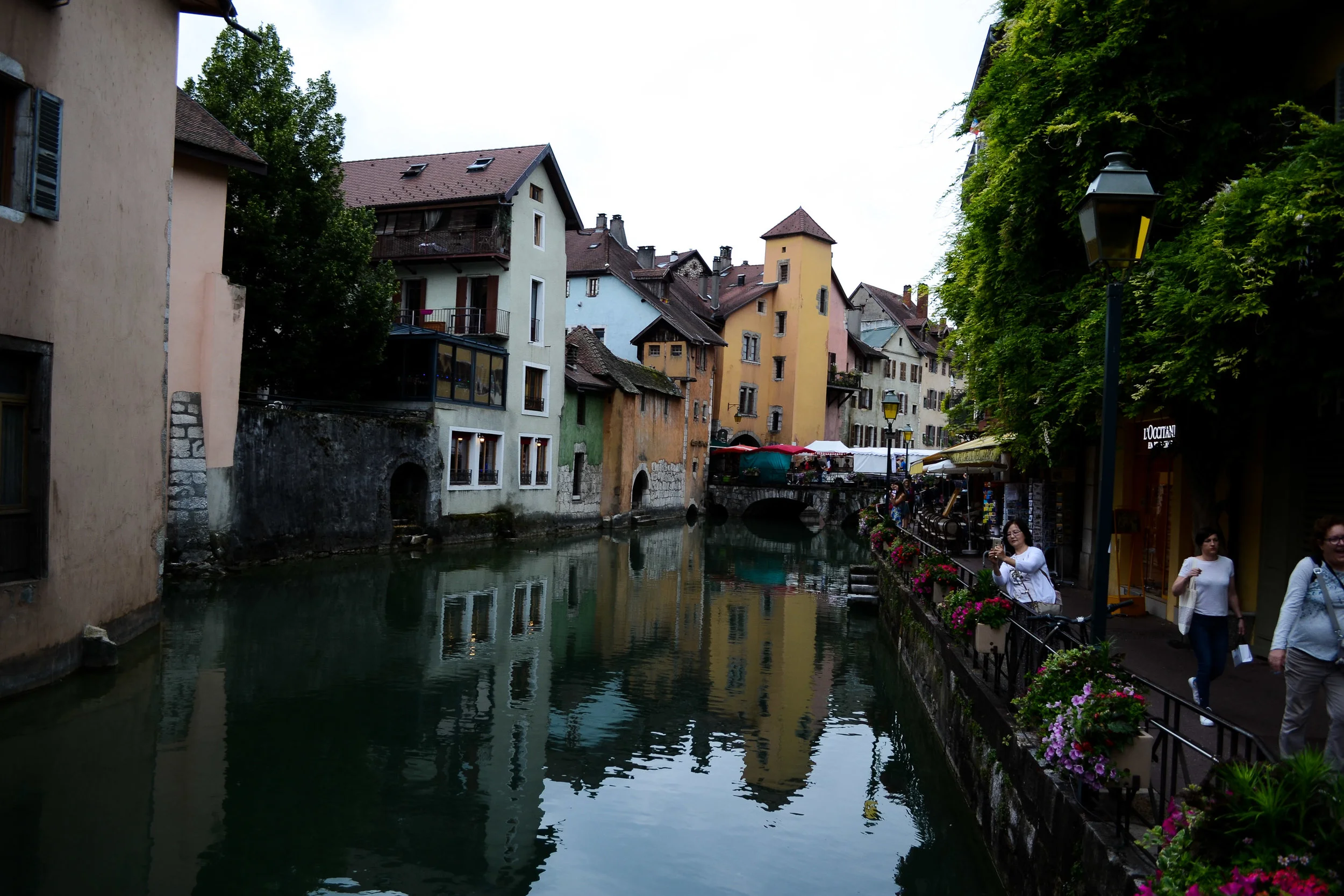 DSC_8120 2.jpg