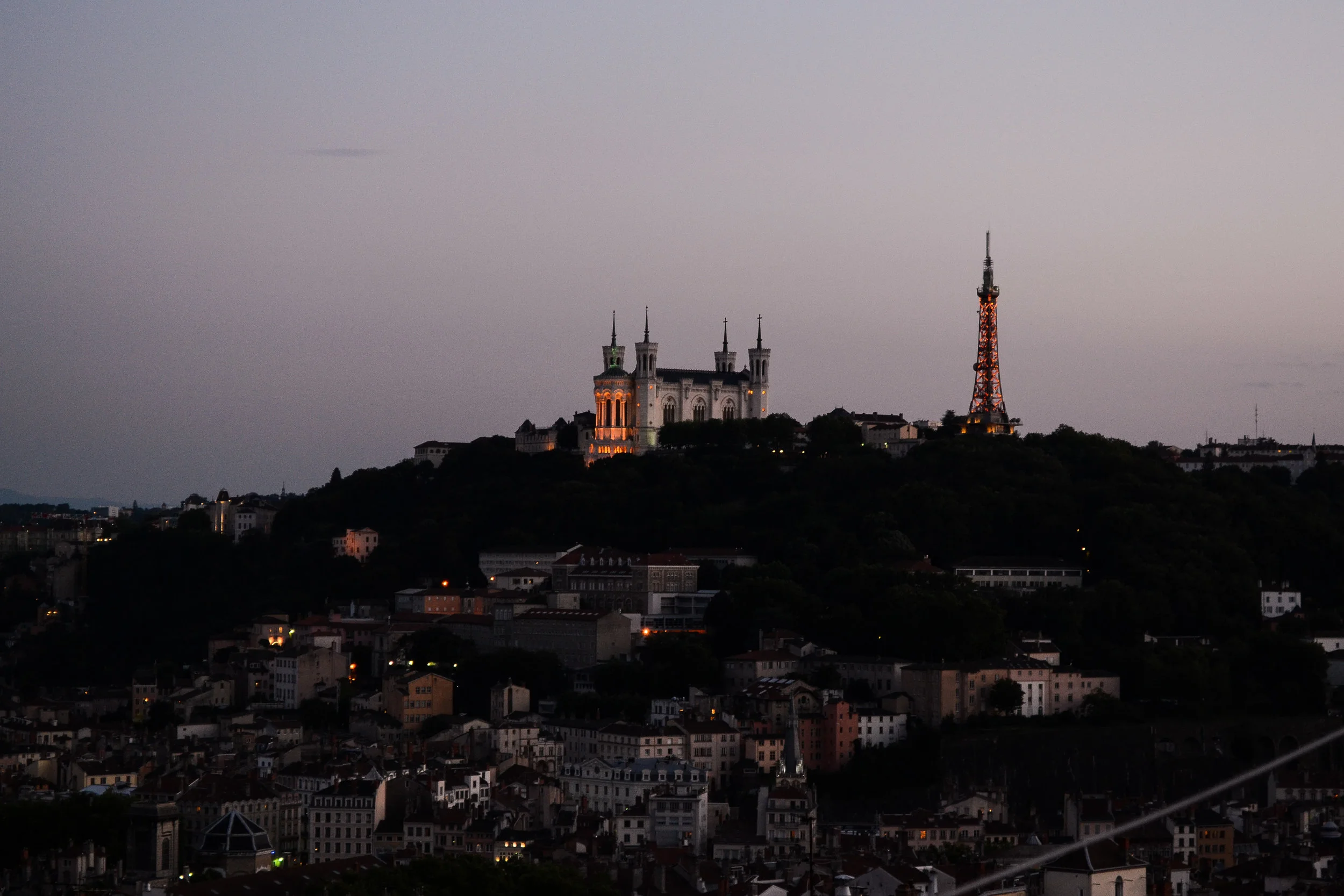 DSC_8557 2.jpg