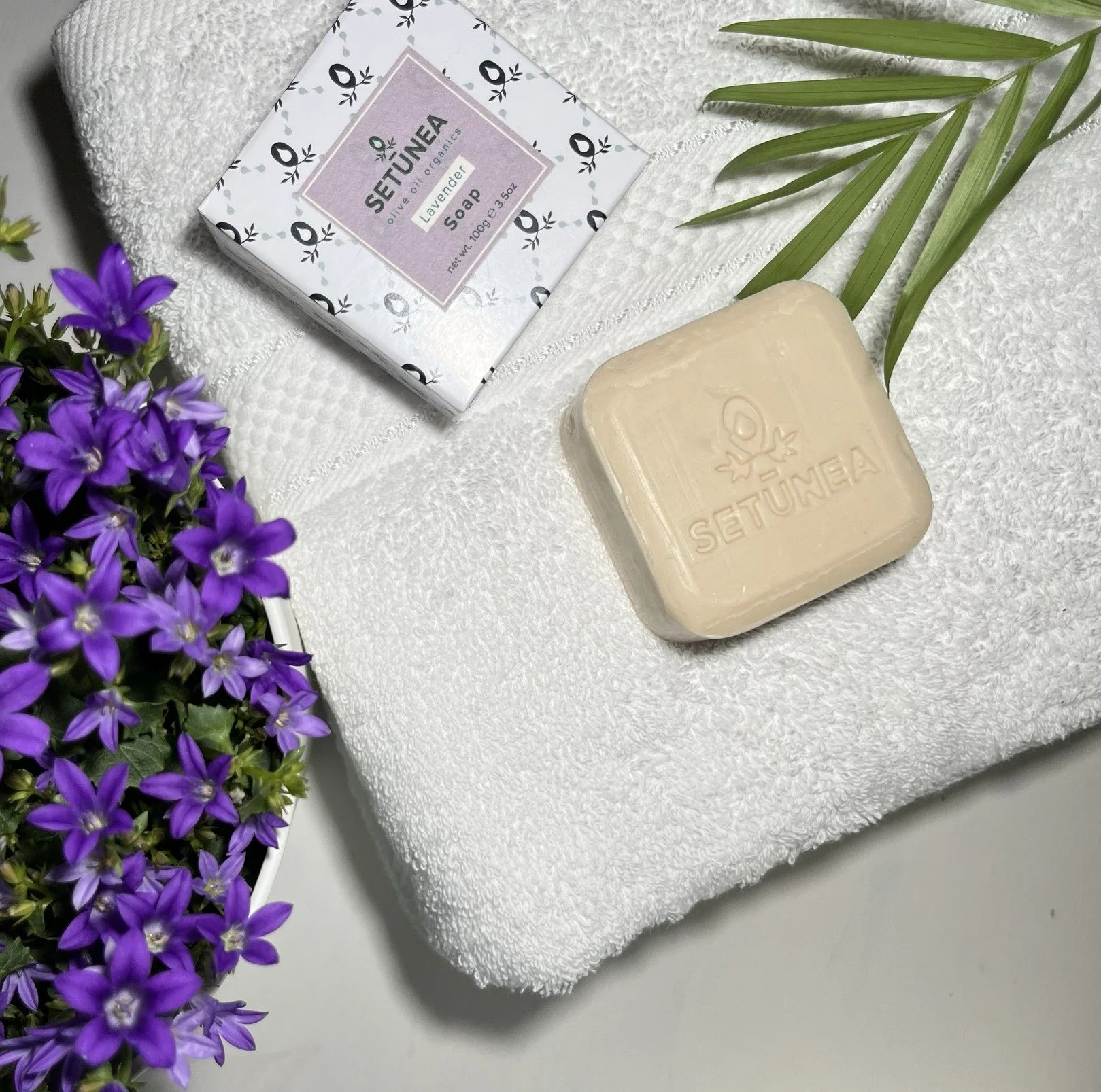 IMG_4121 cropped.jpeg