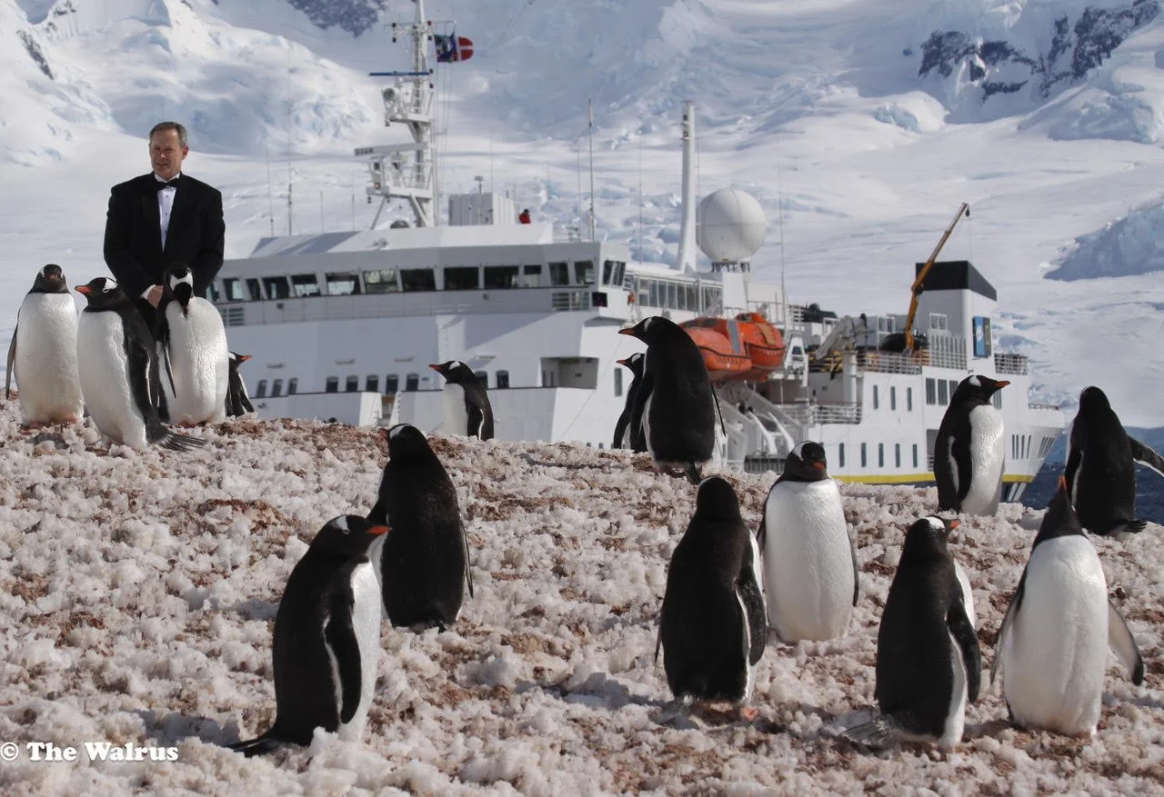 Sensational Southern Sailing ... YES, this means Antarctica!