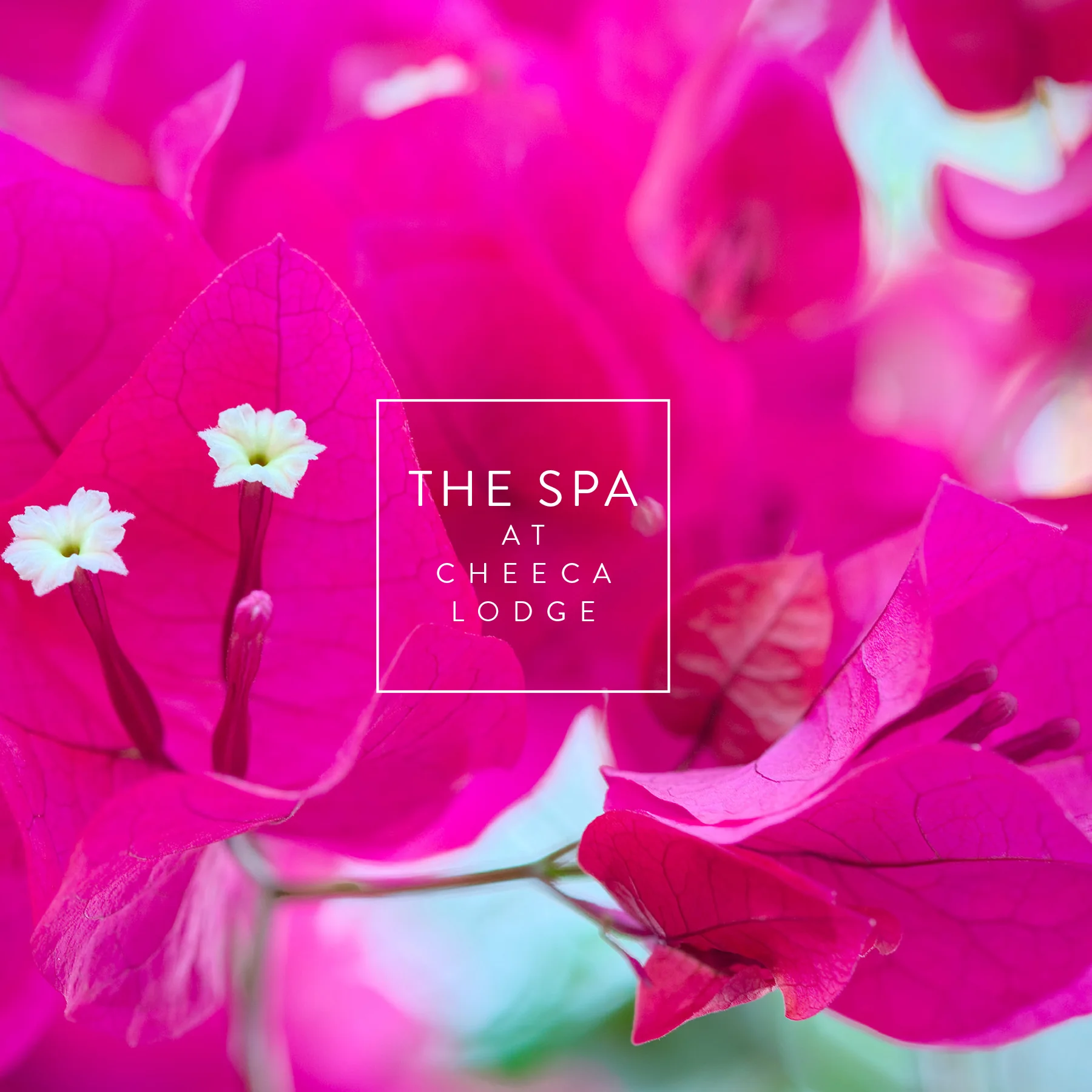 CLS-11869-H 2018SpaBrochure_Eflip 1.jpg