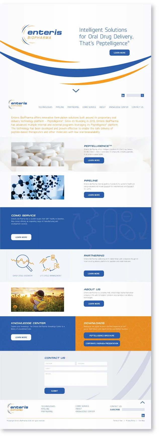 enteris-homepage-design.jpg