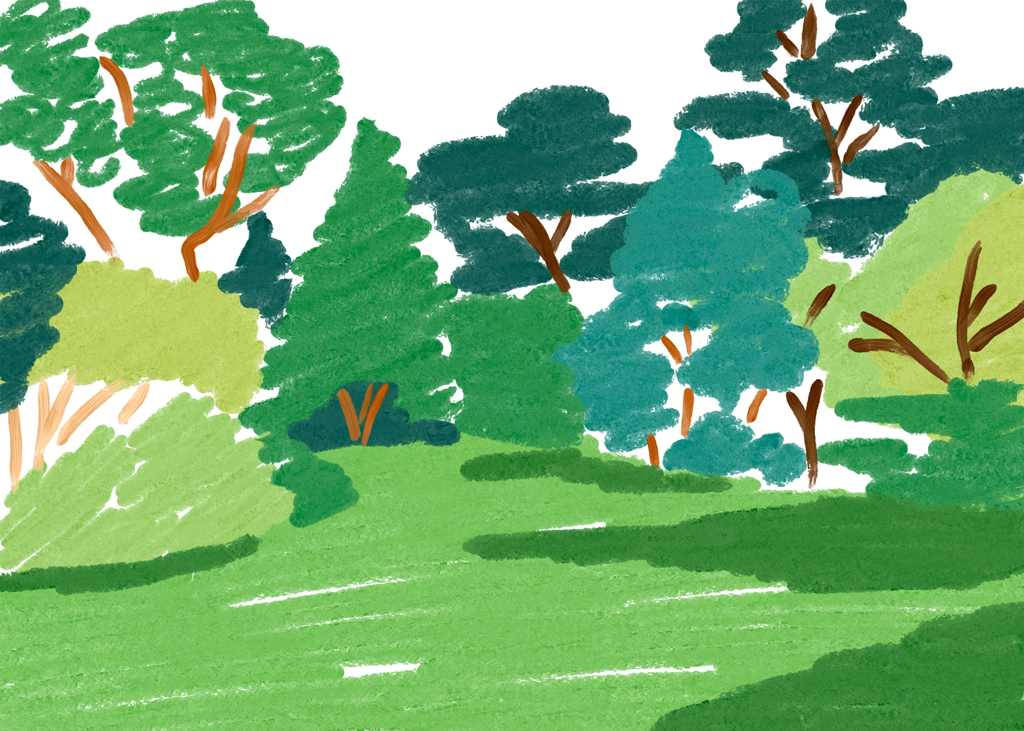 charlottetrounce_treesofsanfran