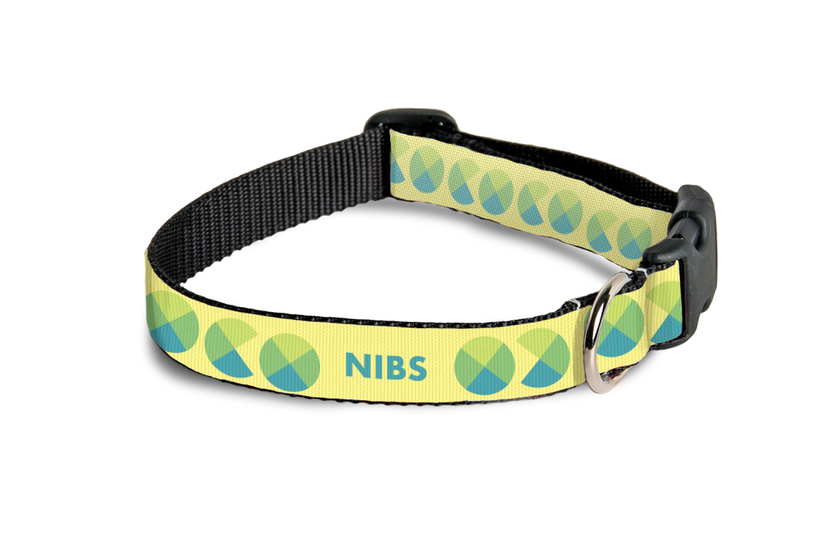 pet collars Blue 1.png