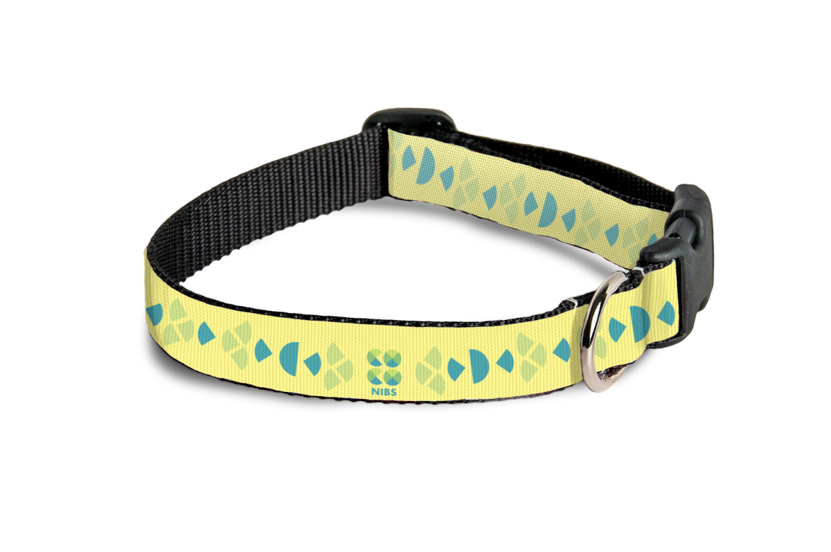 pet collars Blue 2.png