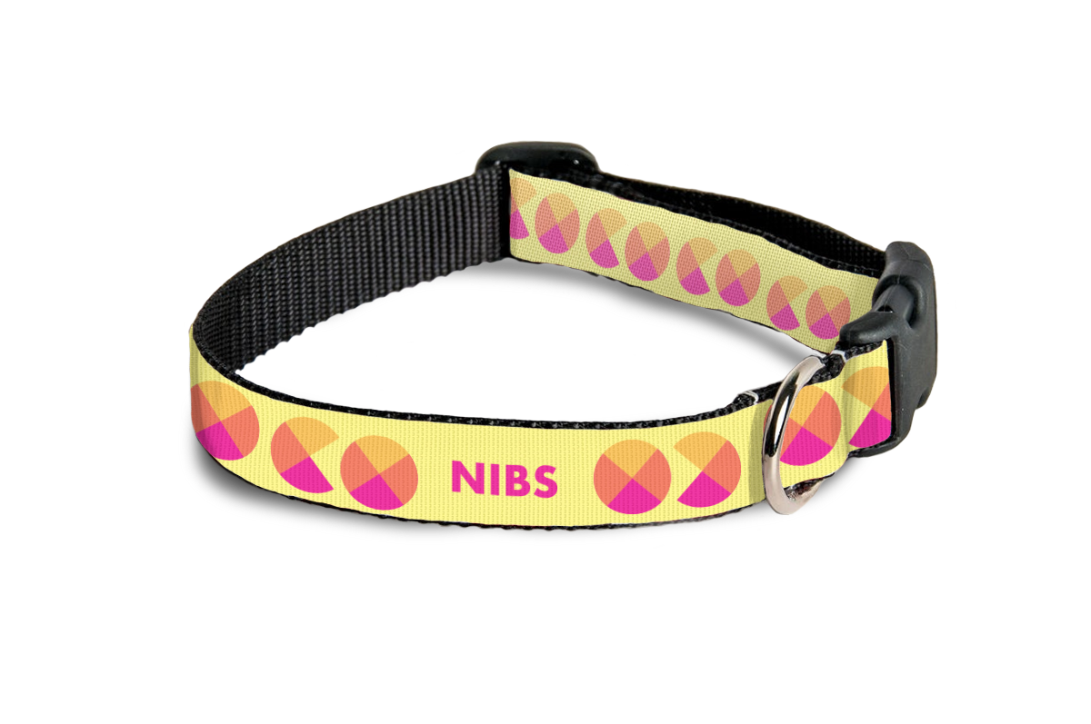 pet collars.png