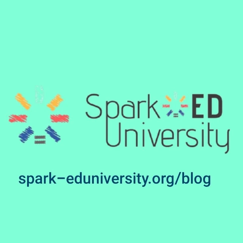 Interview with Mr. Naphtali Bryant, Founder of Spark-Ed University!
