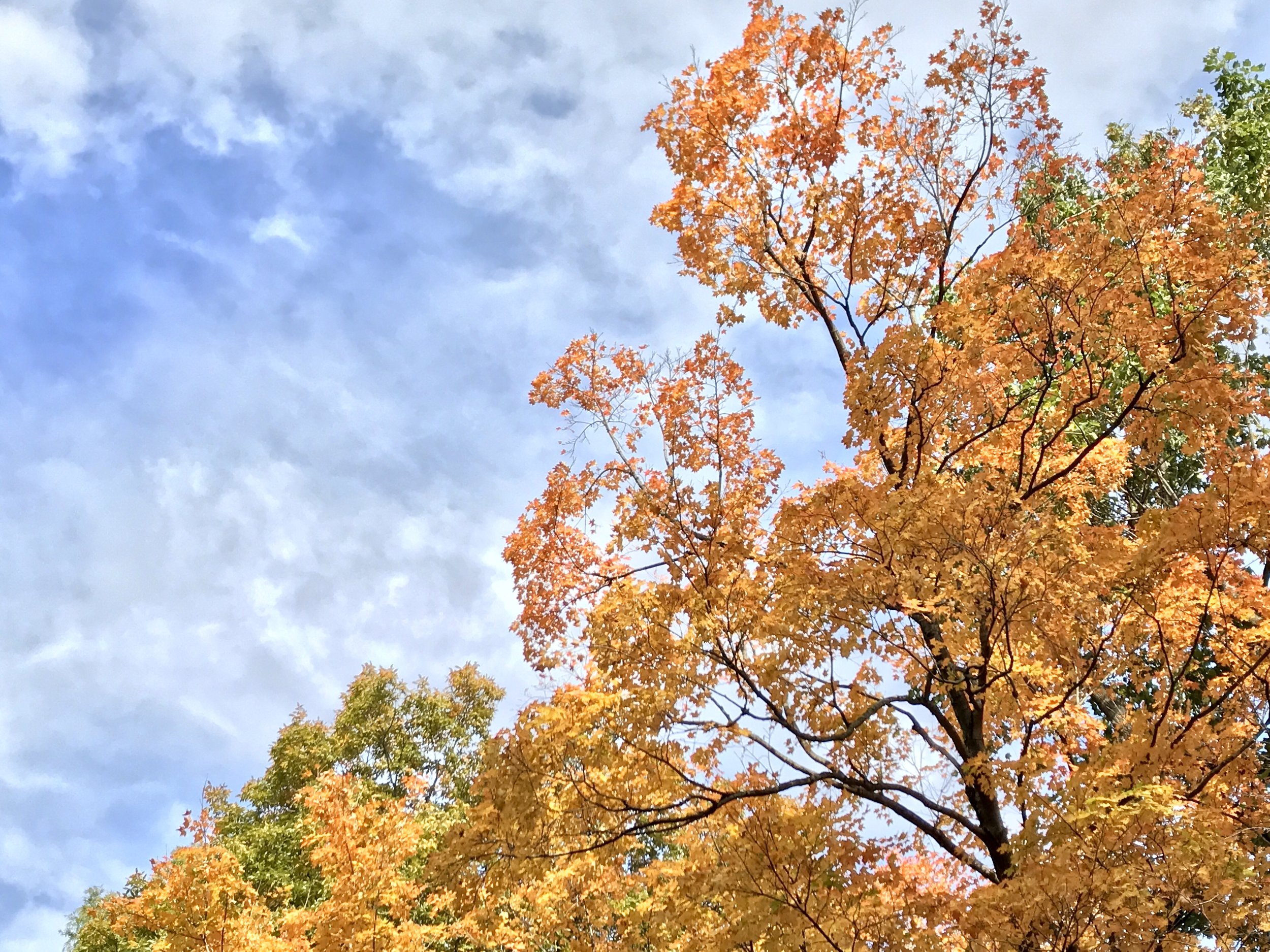 Fall in Washington, DC