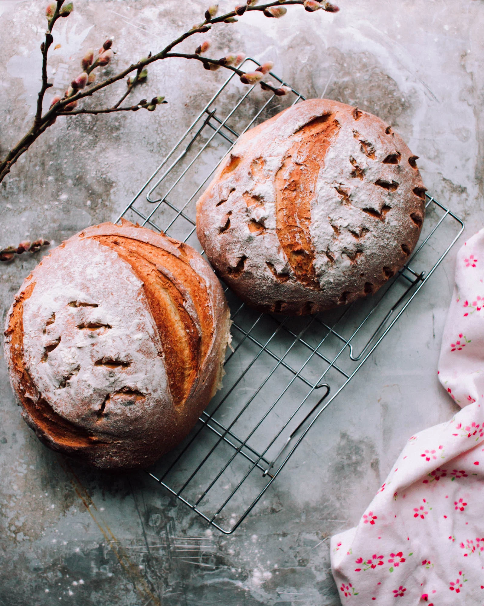 Celiac Disease: A Gluten-Free Journey