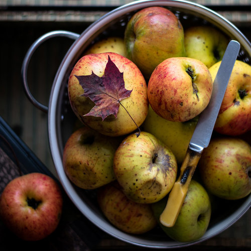 Copper Pressure Cooker — Yedi Houseware Appliances