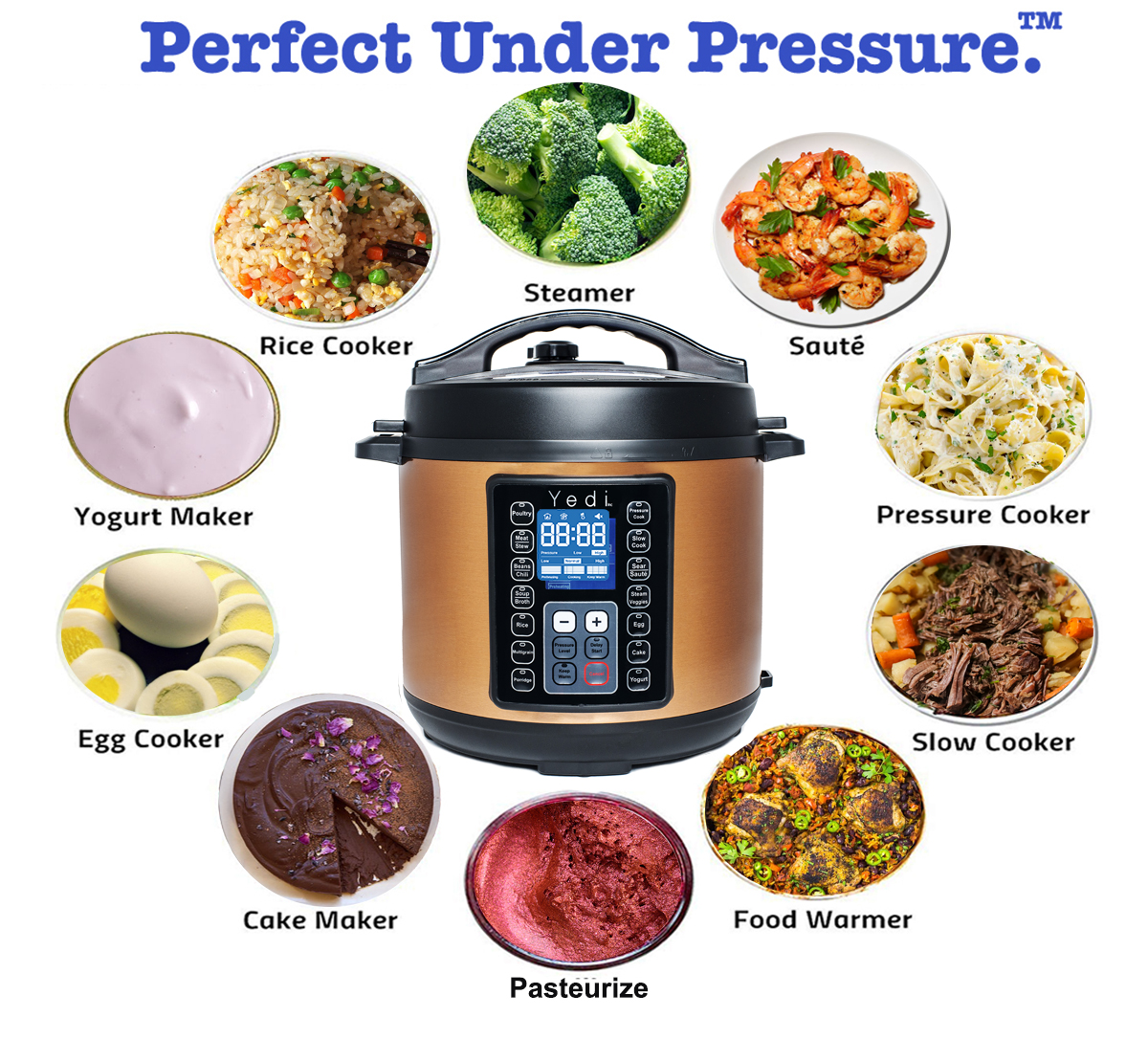 Electric Pressure Cooker: 6 Quart 9-in-1 Multi-Functional Built-in 11  Presets Programs Pressure Pot, Multi Cooker, Slow Cooker, Rice Cooker,  Steamer, Sauté, Yogurt Maker, Warmer & Sterilizer: Home & Kitchen 