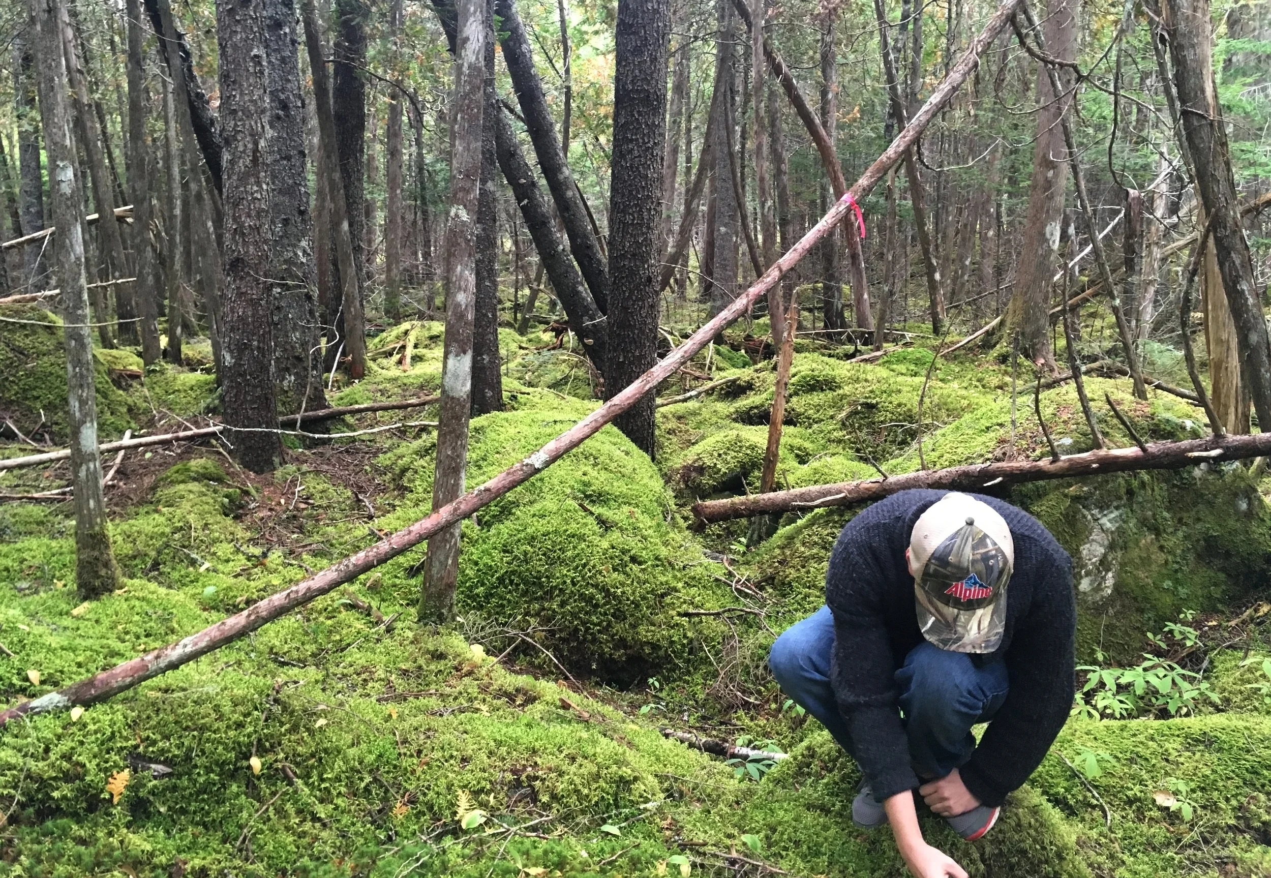 Hunting for mushrooms near St. Patrick’s Falls