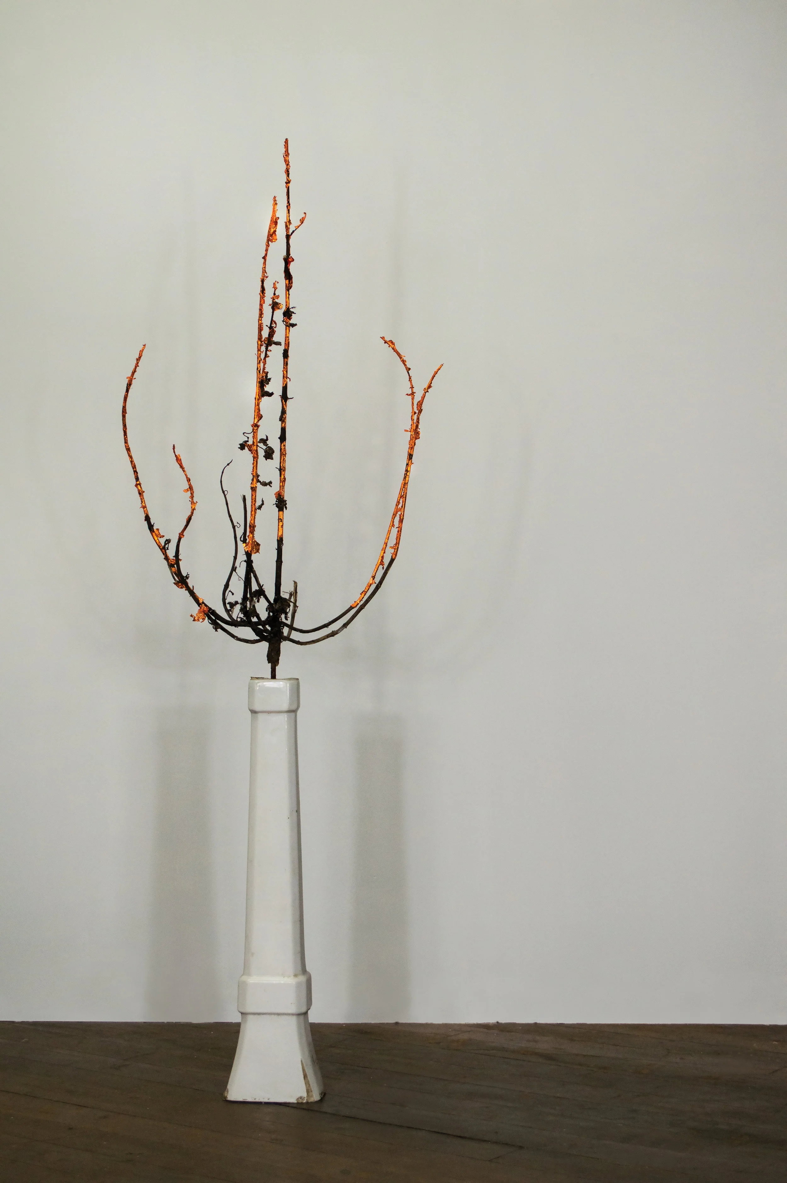 vase.jpg