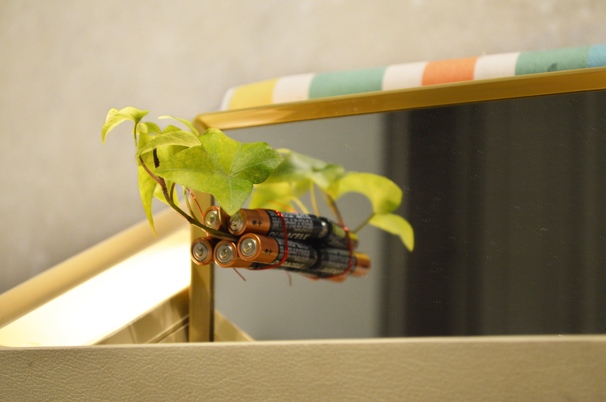 2nd yr object light mirror1.JPG