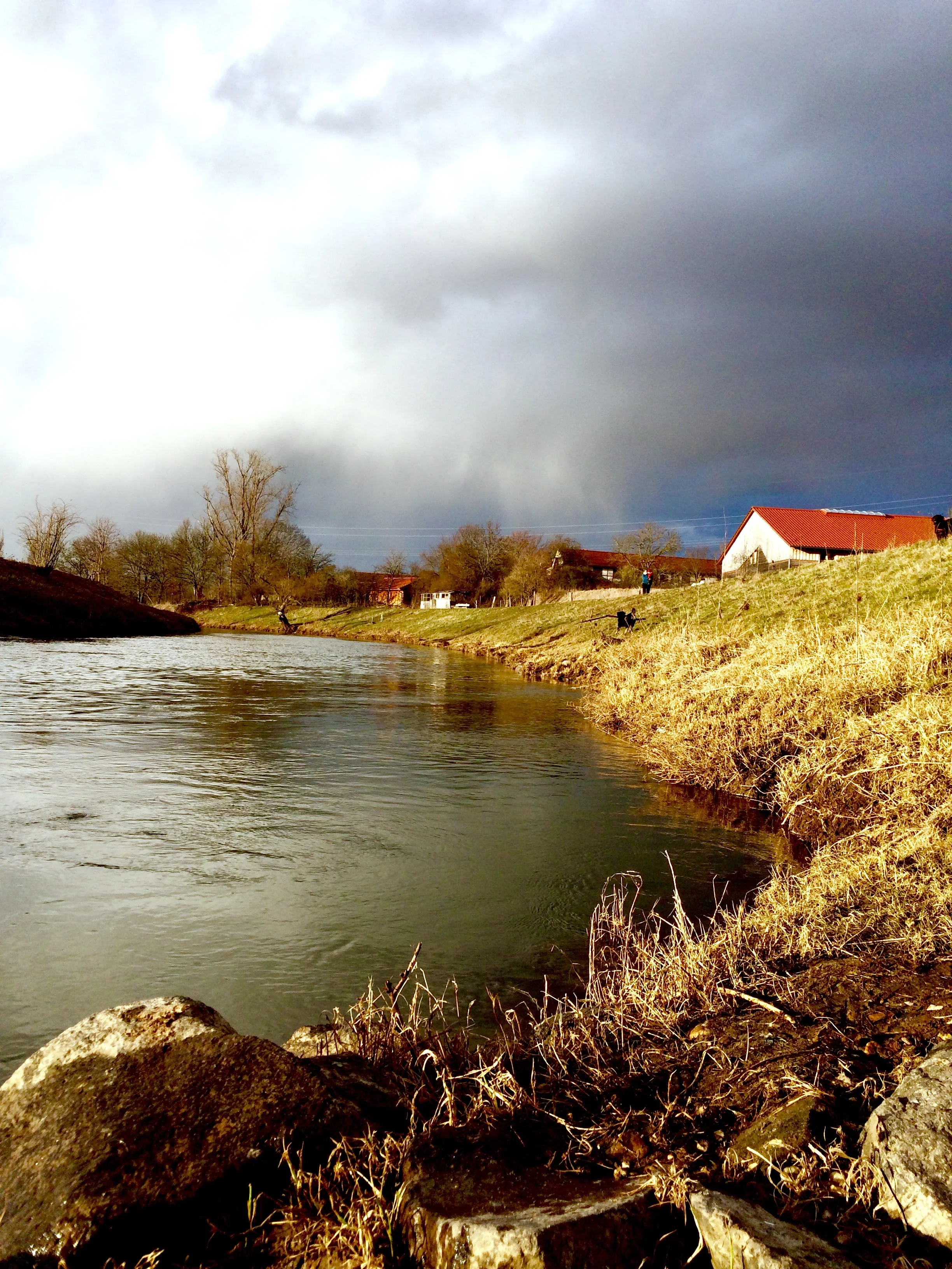 The Nidda River runs along the Western and Northern boarders of Dottenfelder Hof Farm, just North of Frankfurt, Germany.