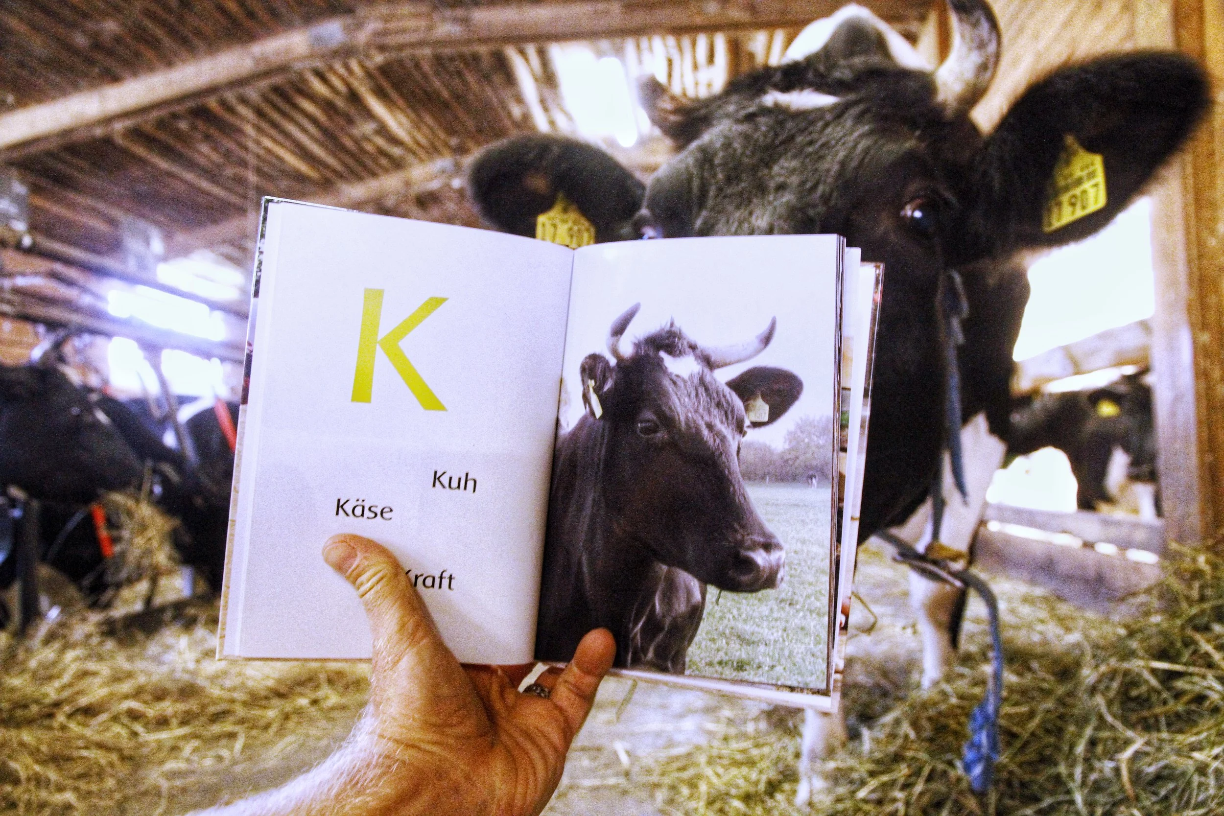 Join the conversation. Within these pages are the sparks that fuel conversations you can have with your family about life’s most valued essentials on and off the farm.