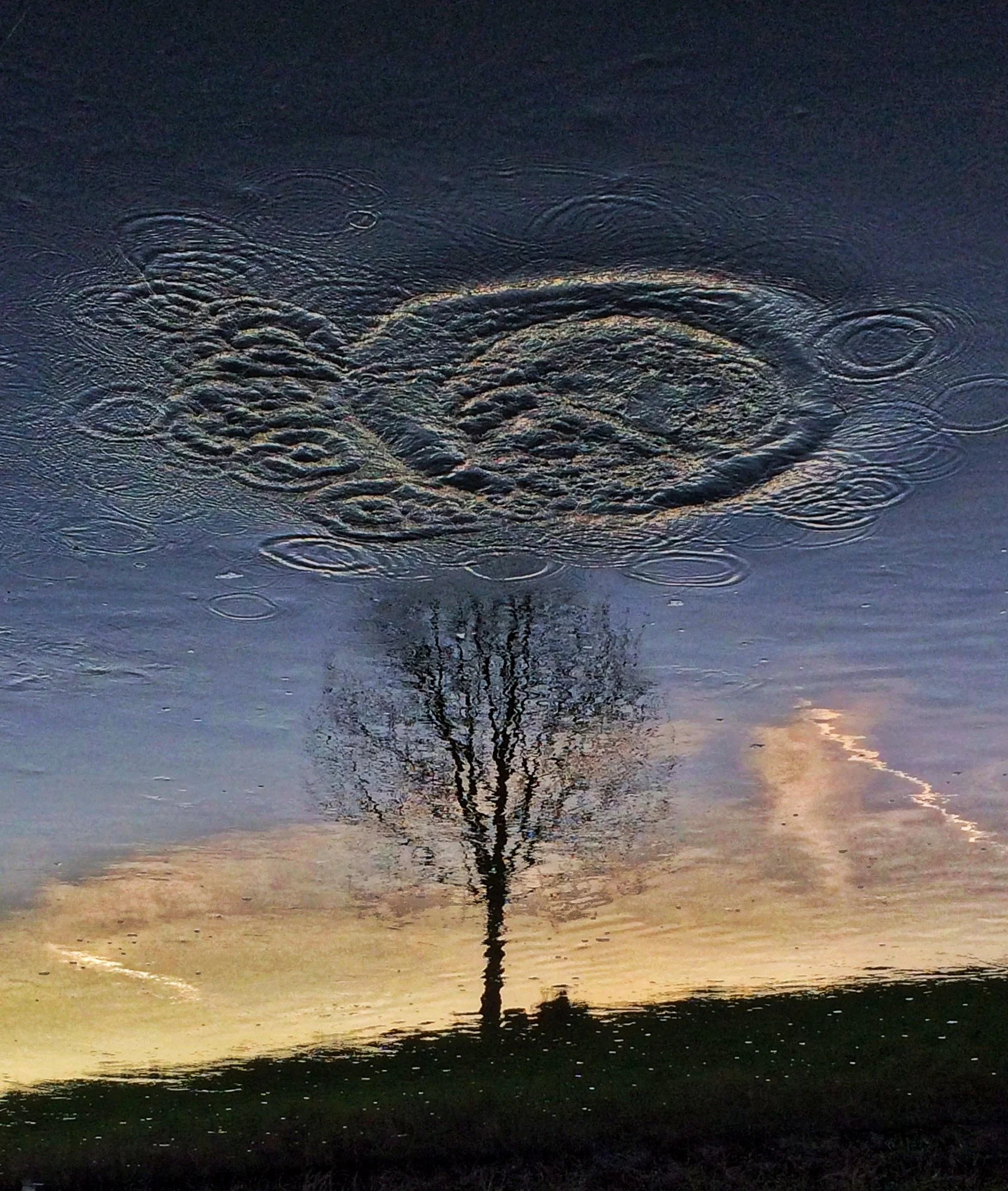 The Magic of the 3rd Place