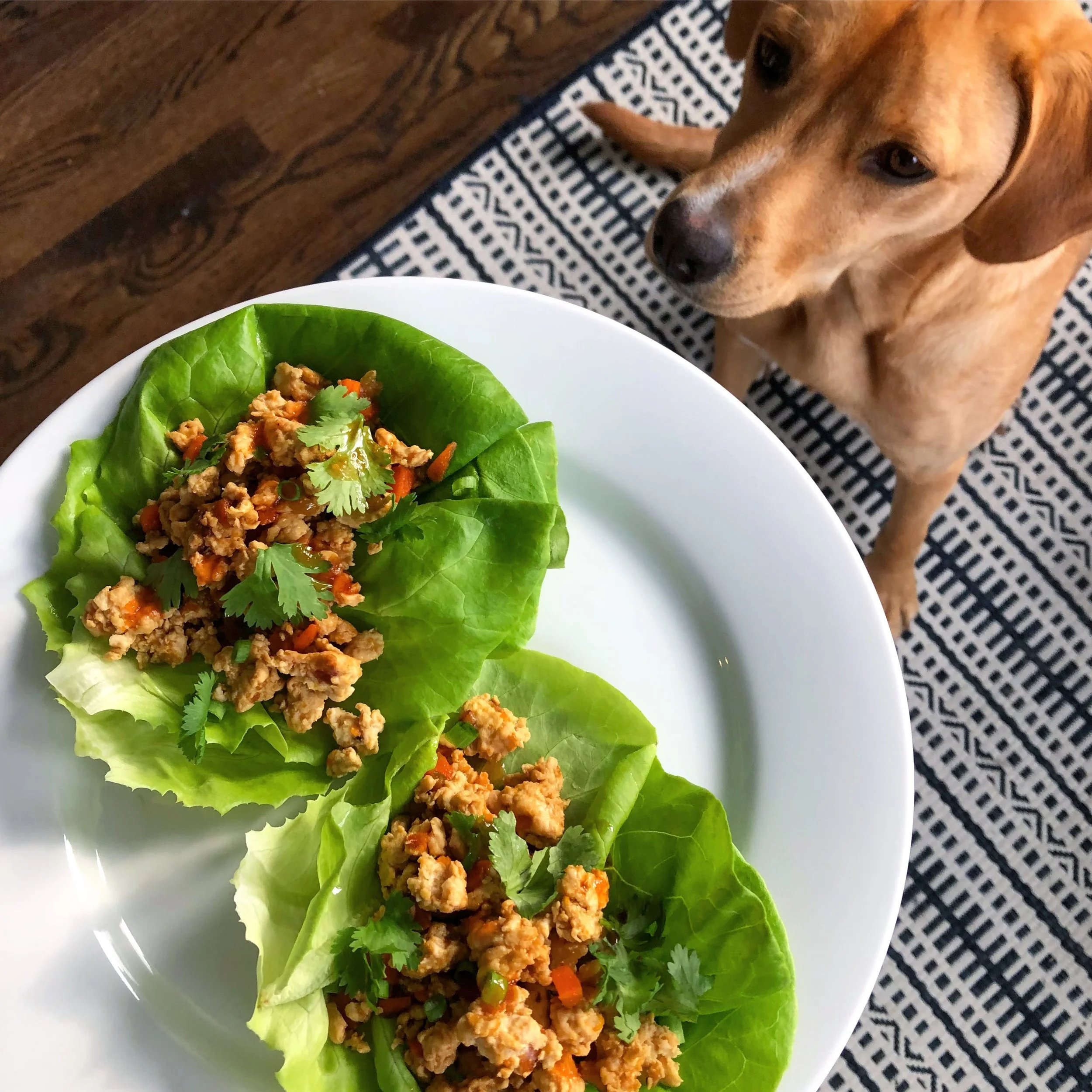 Lettuce Wraps