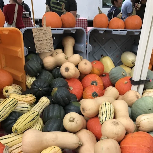Squashes.JPG