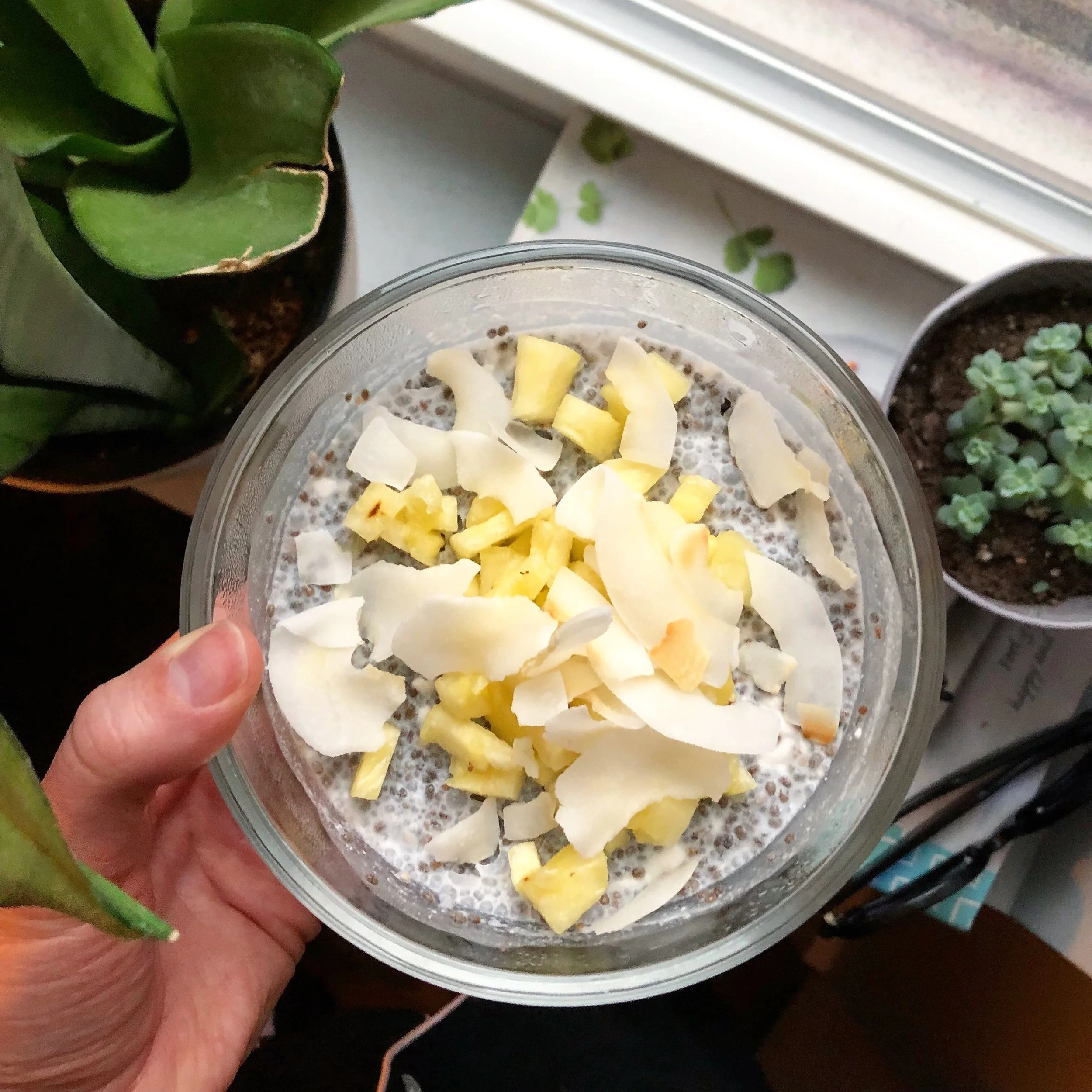 Pina Colada Chia Pudding.JPG