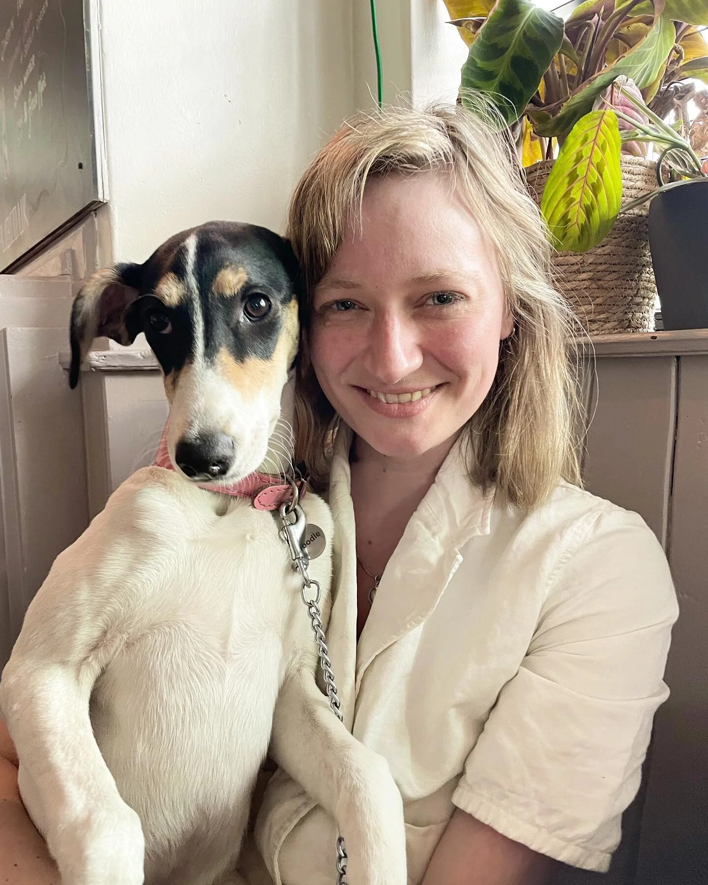 Swipe for some good faces (not mine obvs) 🤪😮 noodle loves it at the pub 🍻