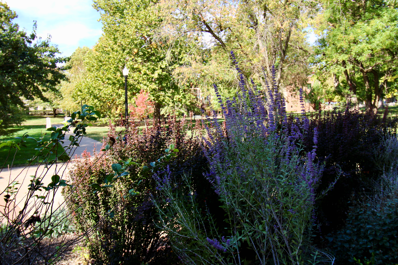 IMG_7683.png