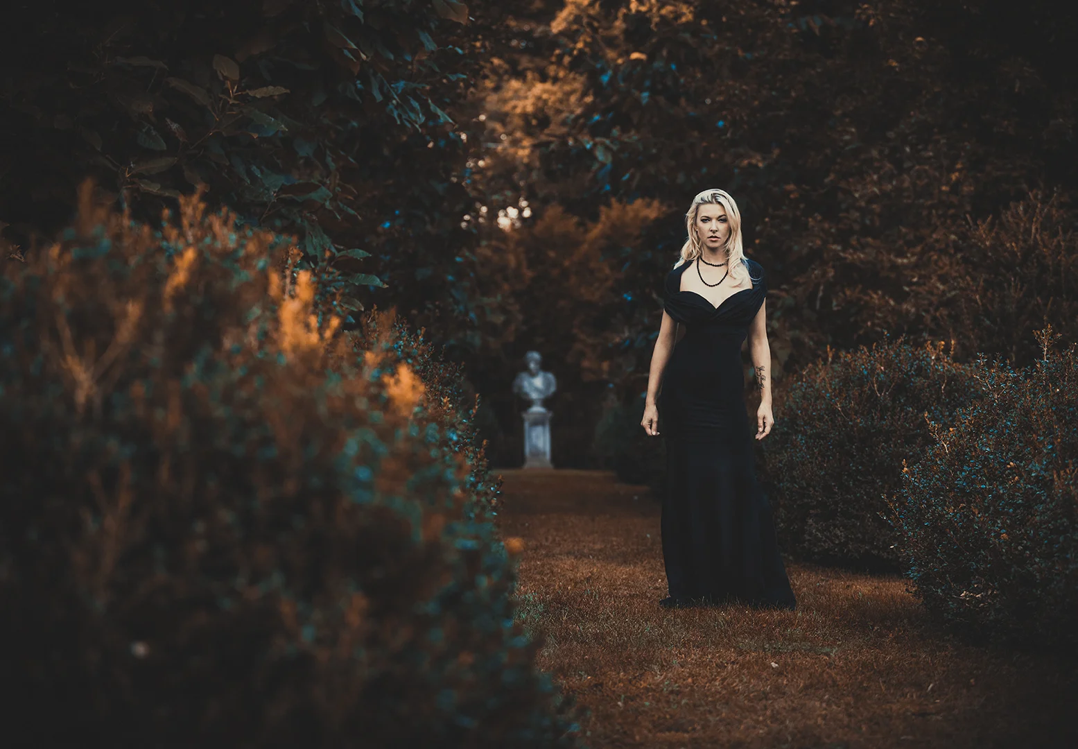 From the Provocatrix Elegance Collection