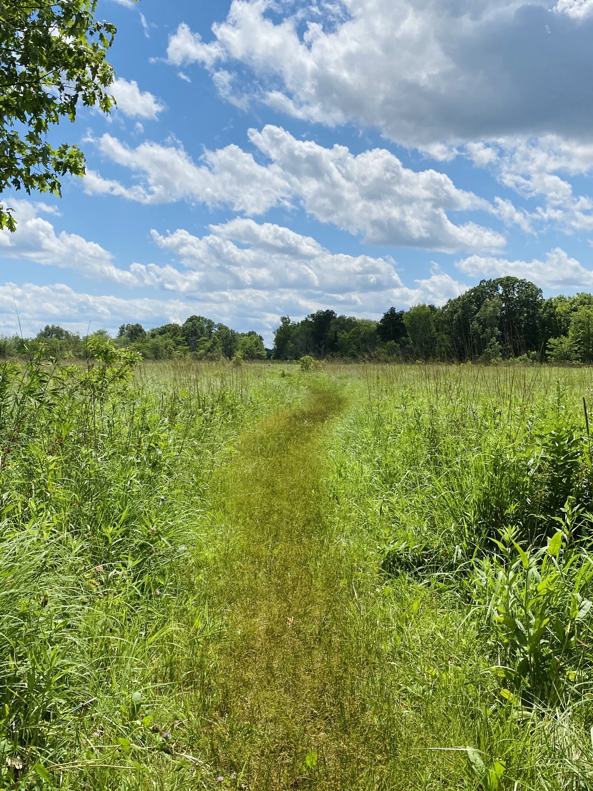 Community Foundation