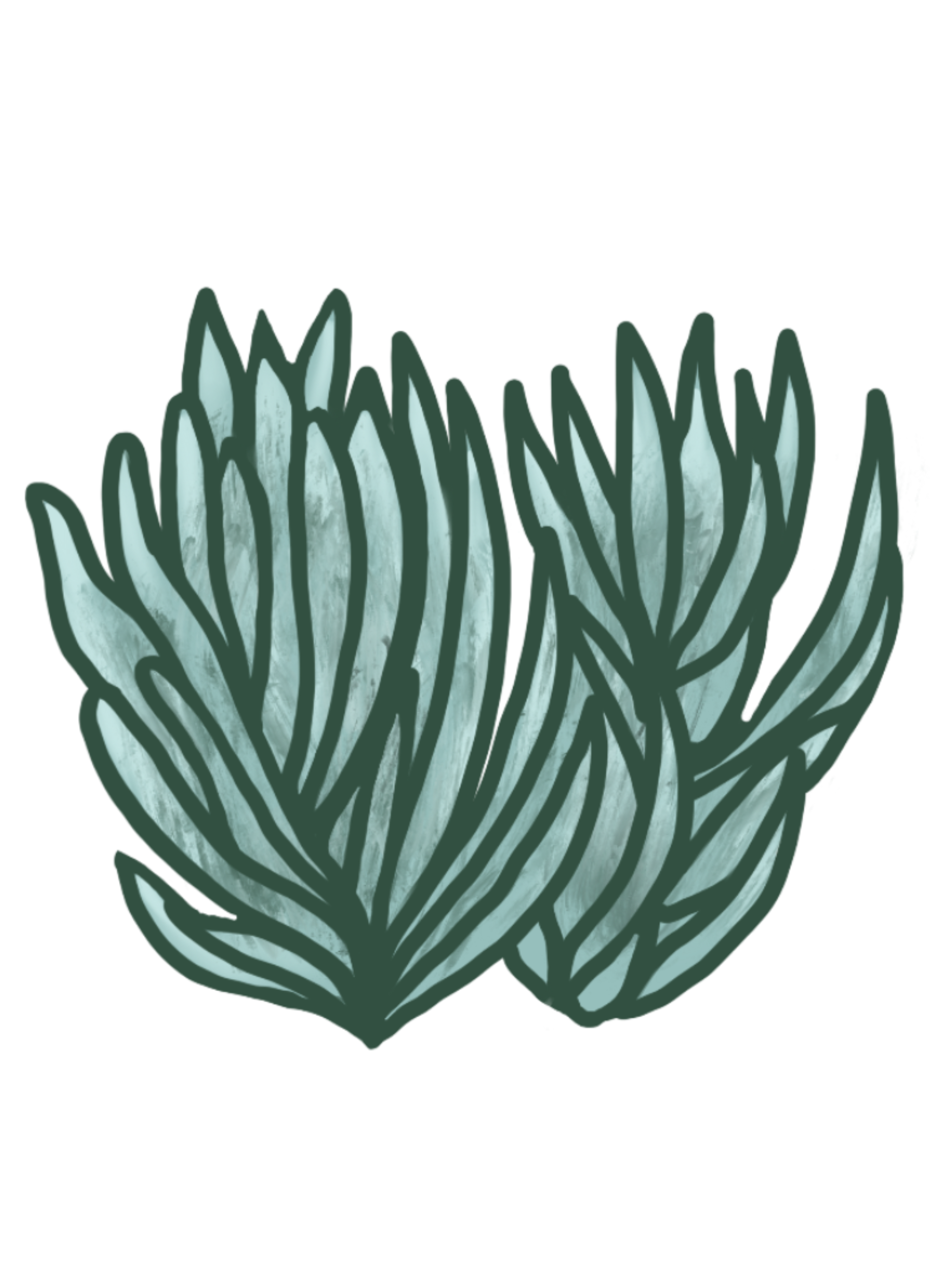 IMG_0214.png