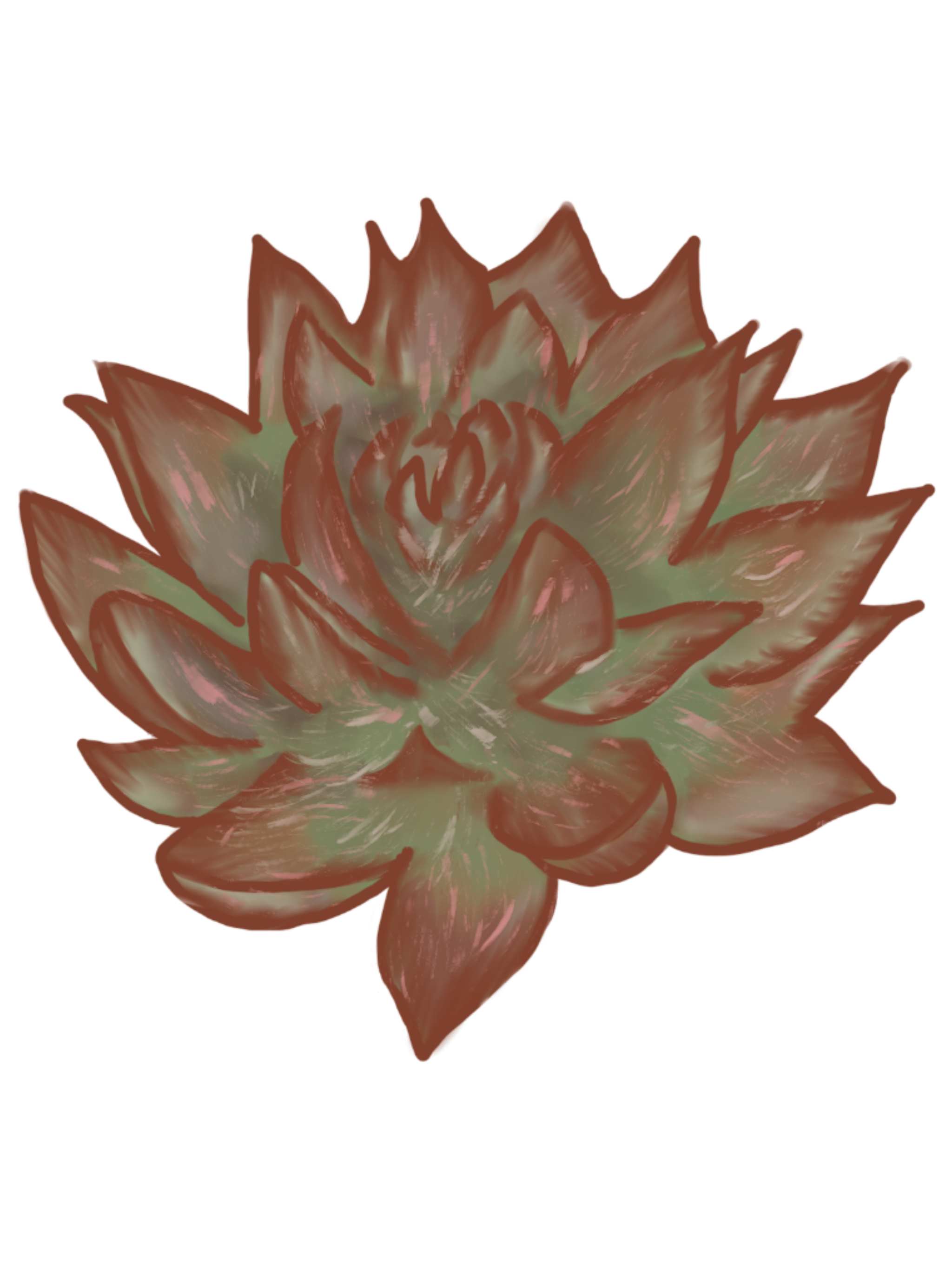IMG_0219.png