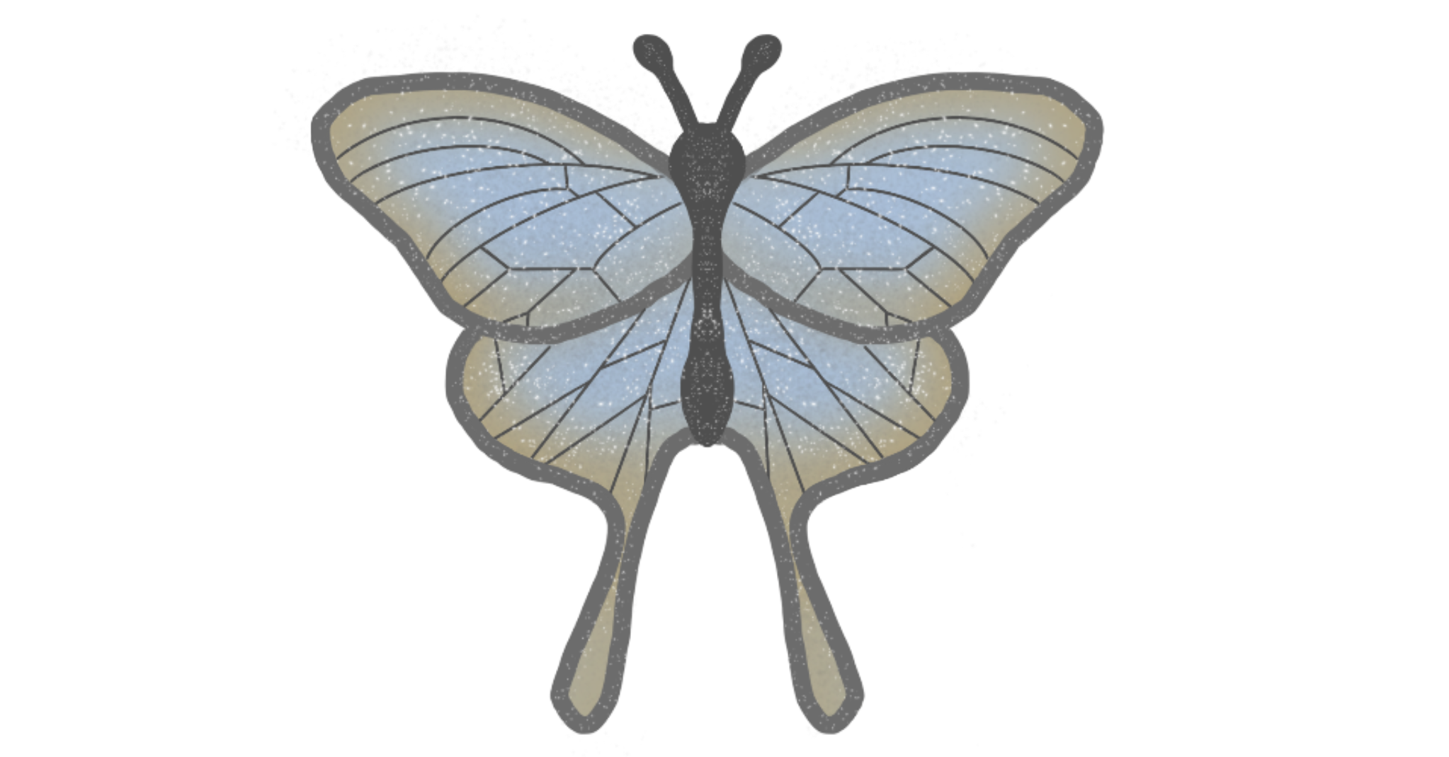 IMG_0206.png