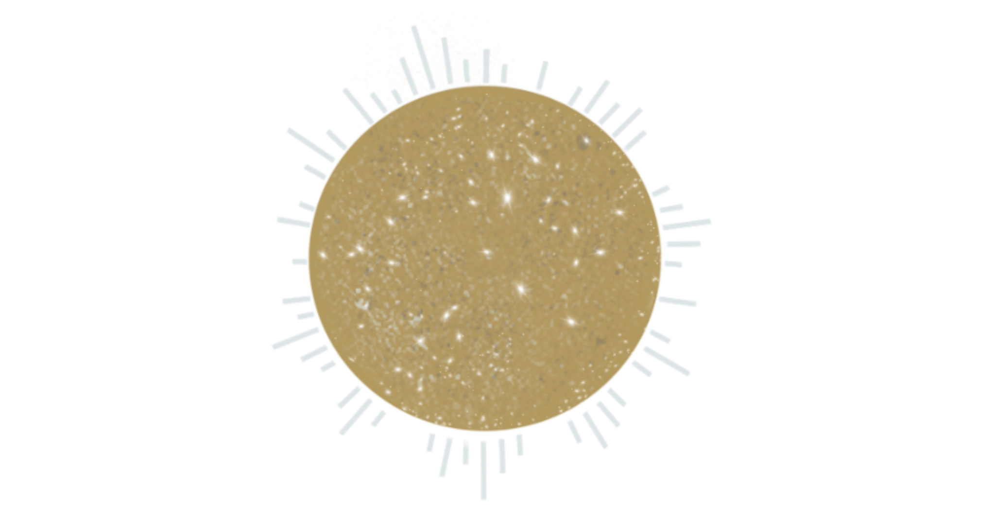 IMG_0207.png
